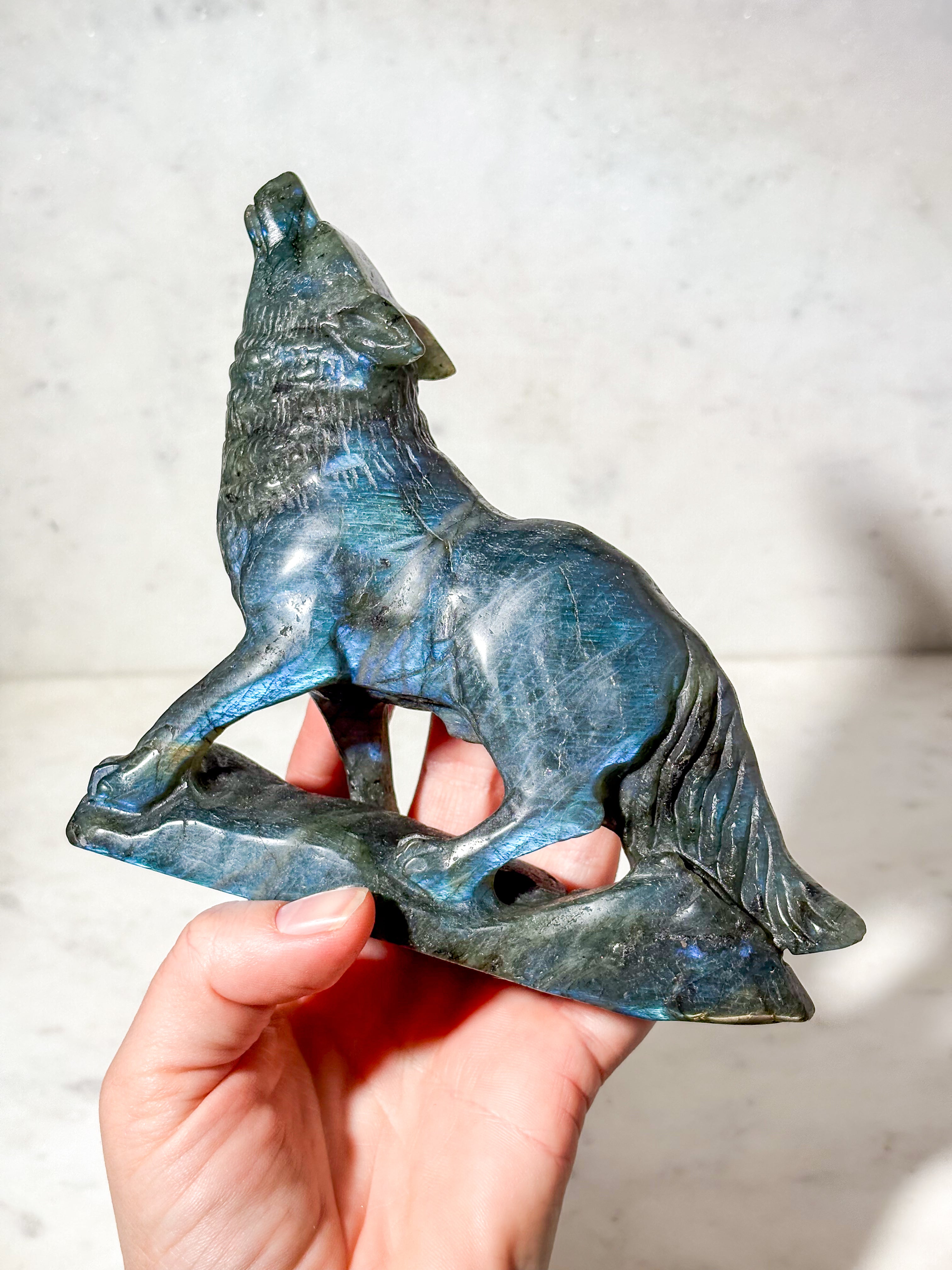 Labradorit Ulv (Nr. 11)