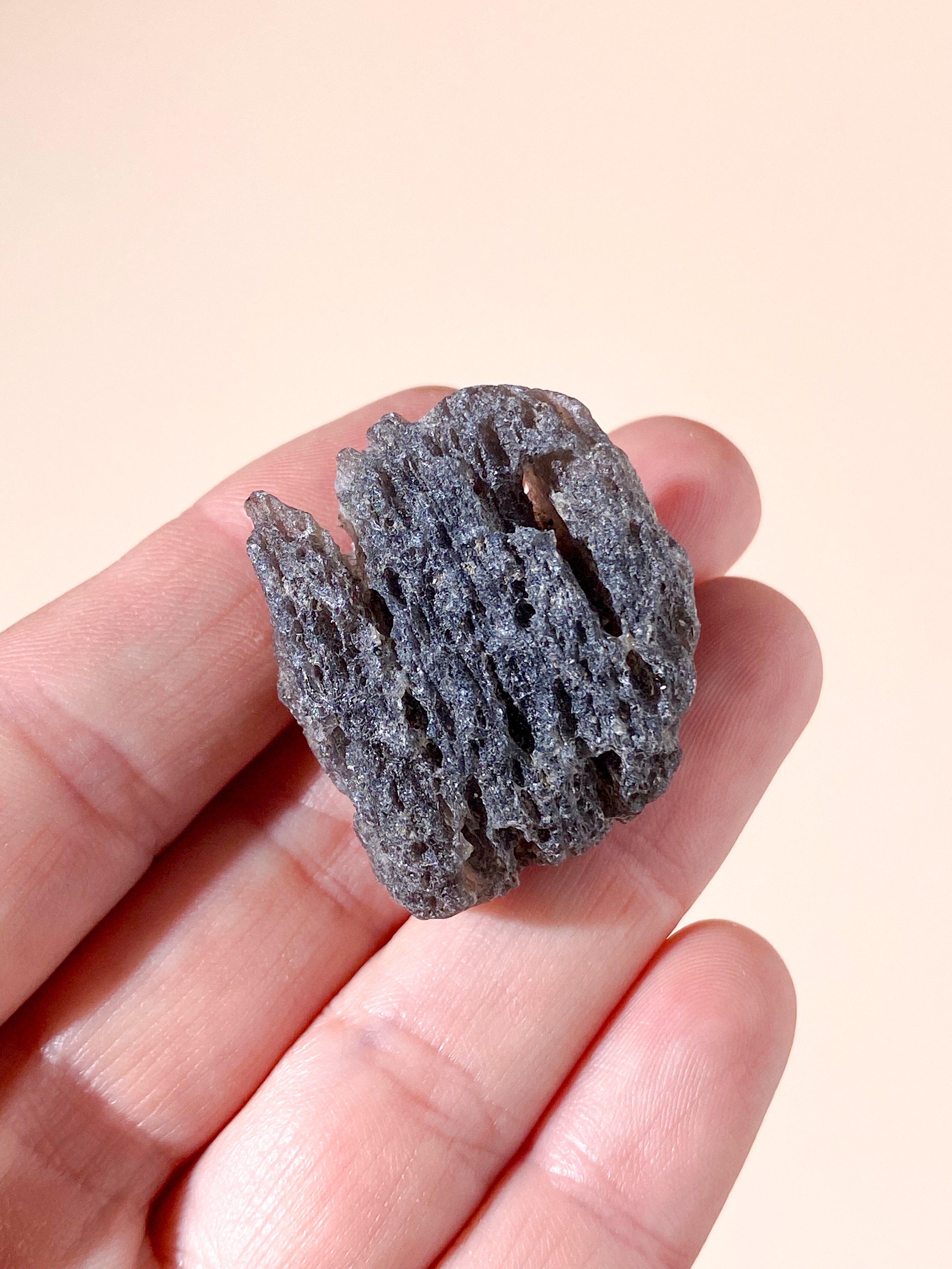 Agni Manit (nr 7)