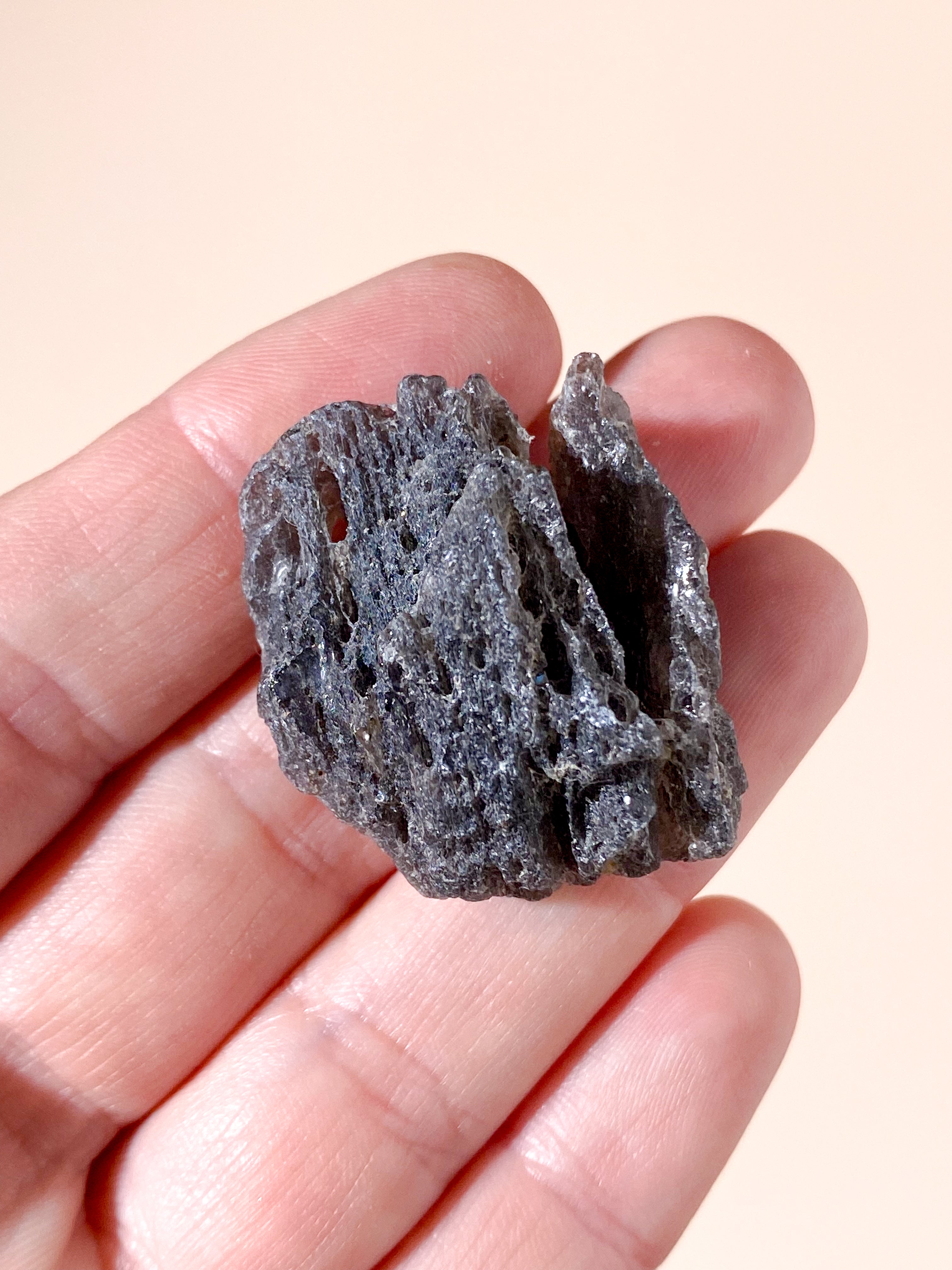 Agni Manit (nr 7)