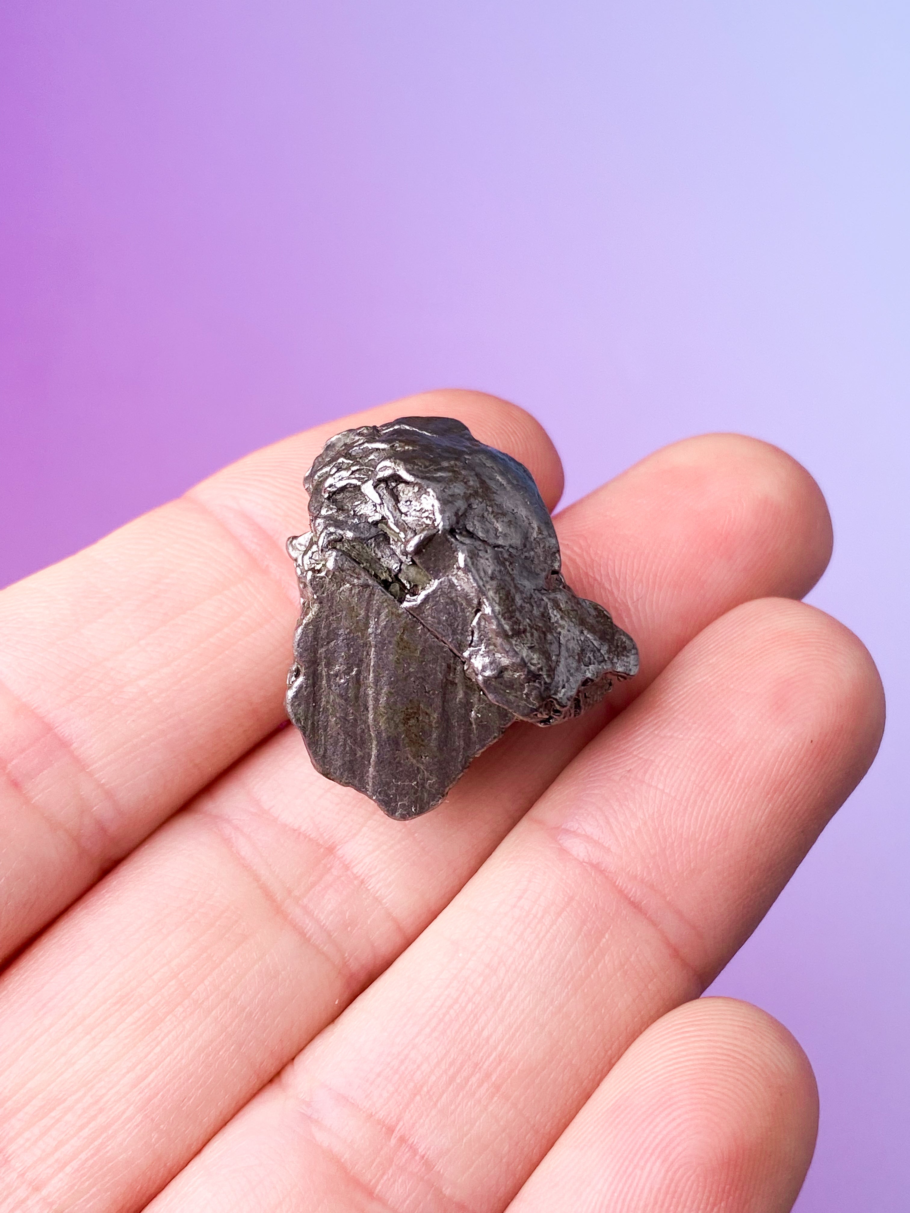 Meteorit - Campo Del Cielo (nr 8)