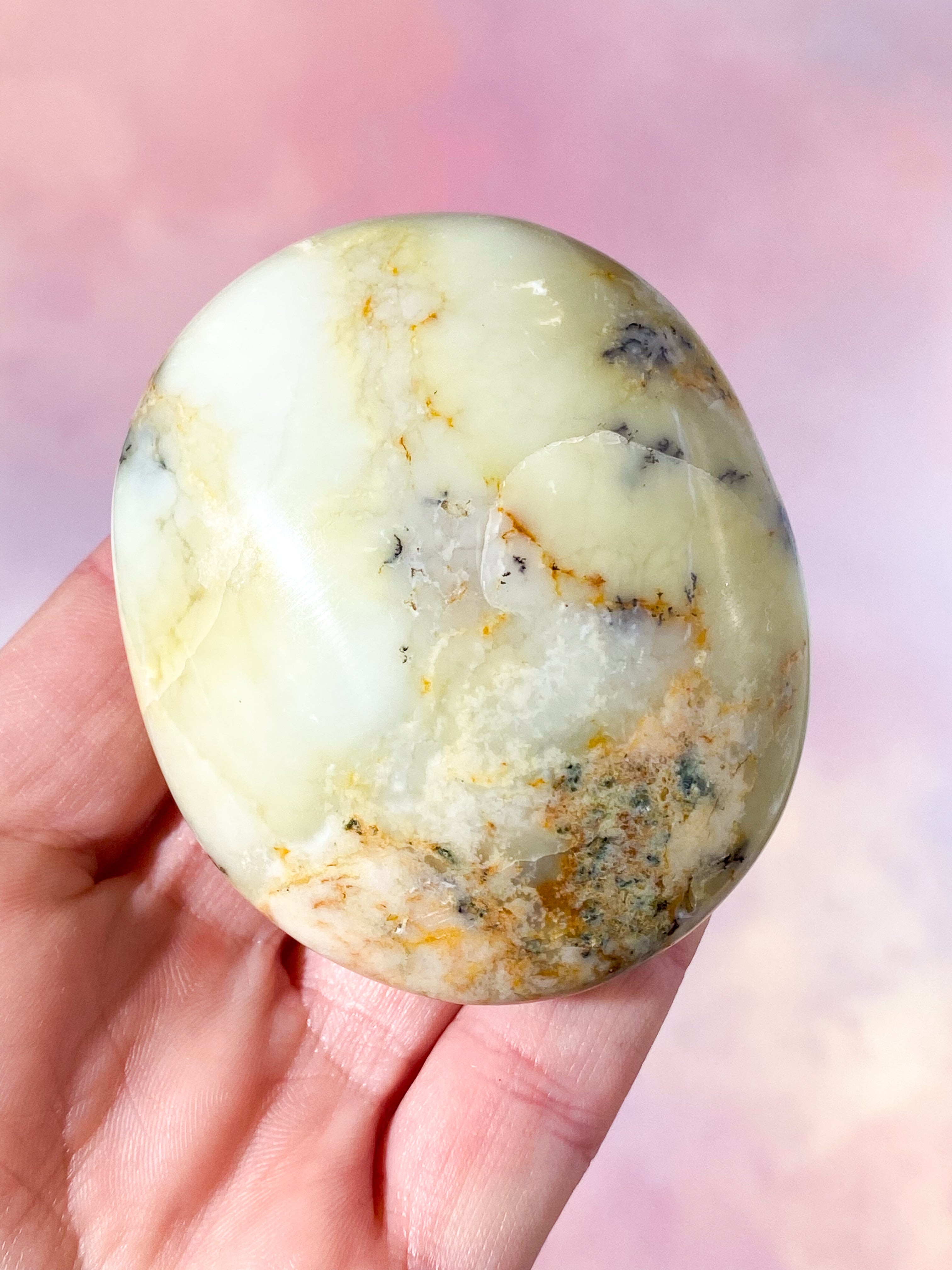 Grön Dendrit Opal Palmstone (Nr. 5)
