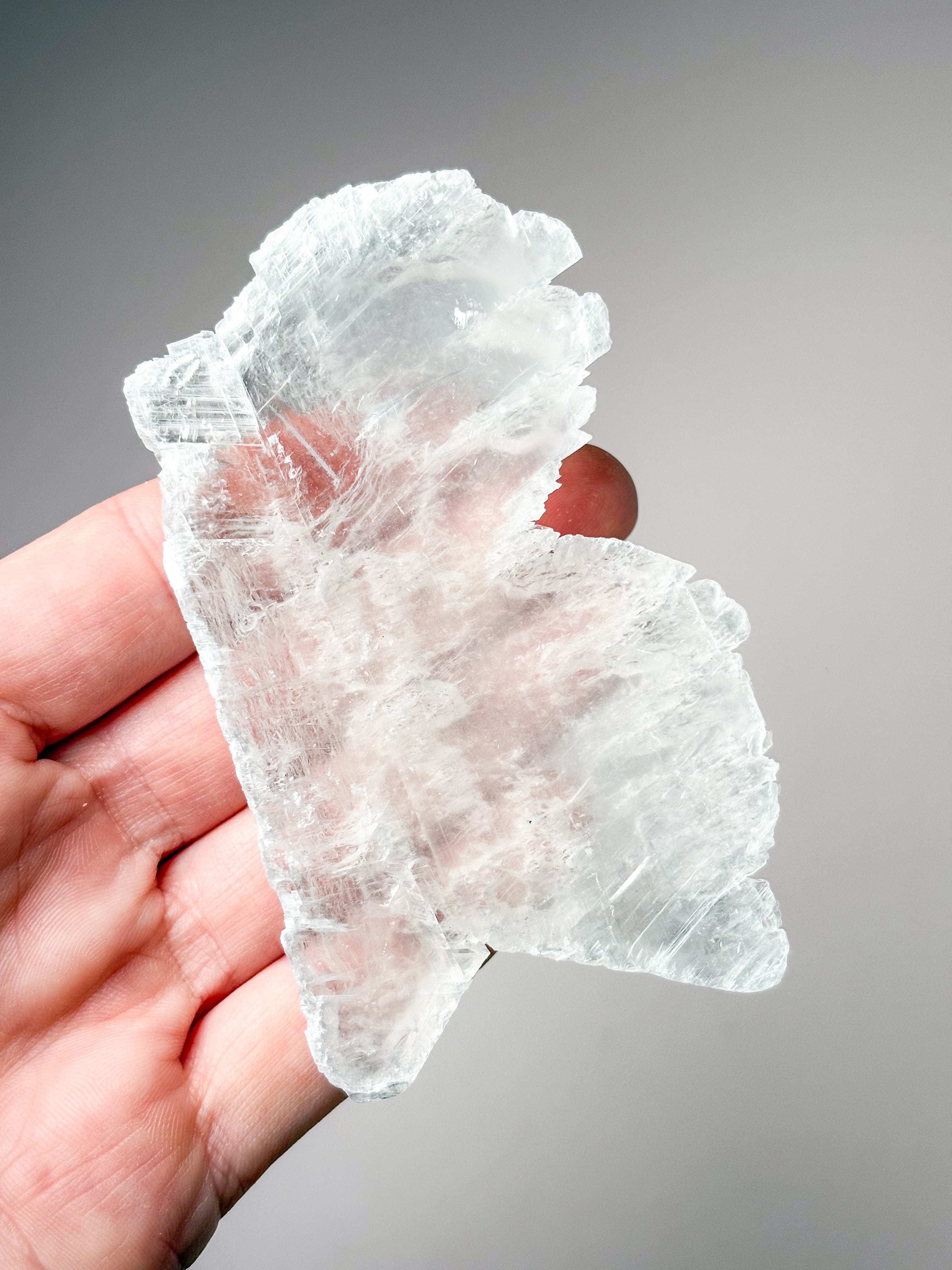 Fiskstjärt/Ängelvinge Selenit (nr 14) Exklusiv kvalitet