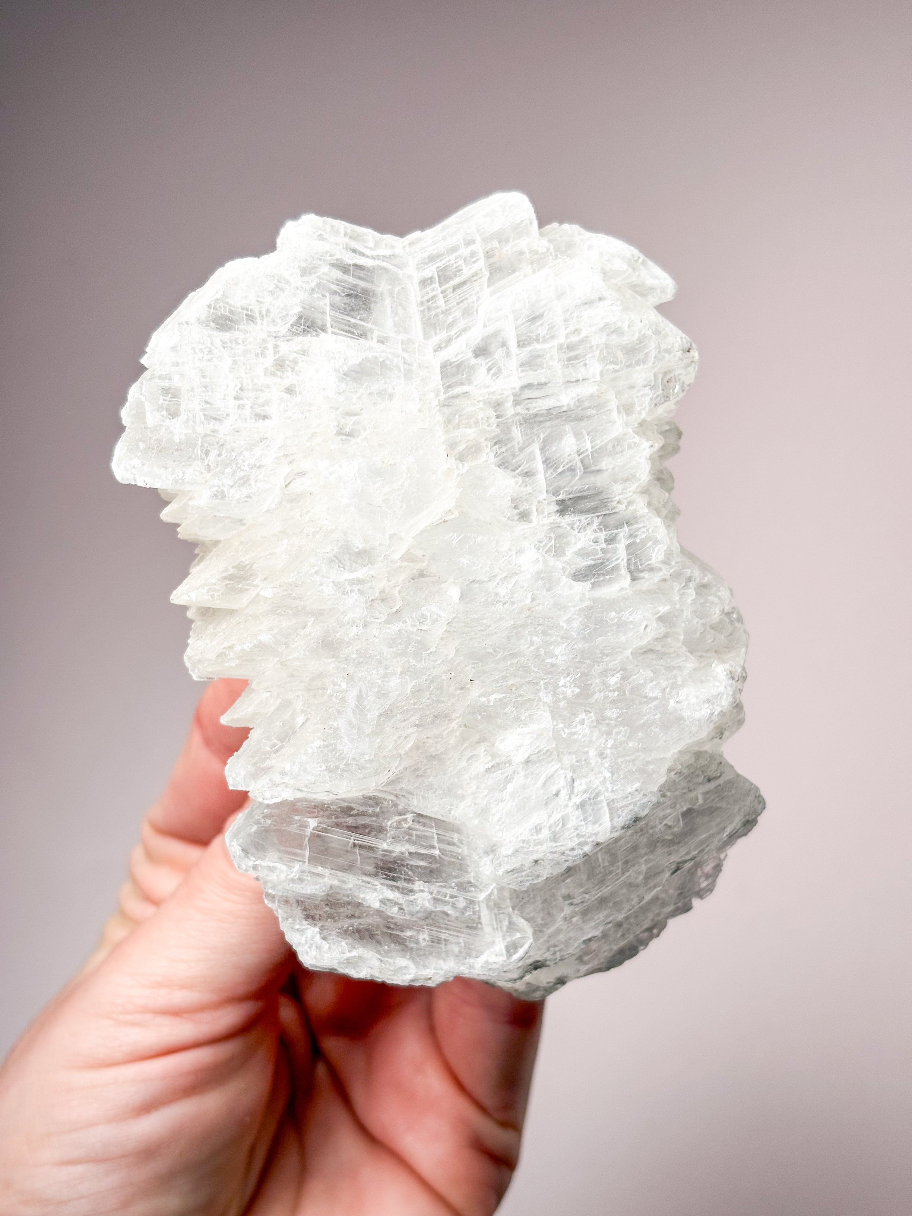 Fiskstjärt/Ängelvinge Selenit (nr 19) Exklusiv kvalitet