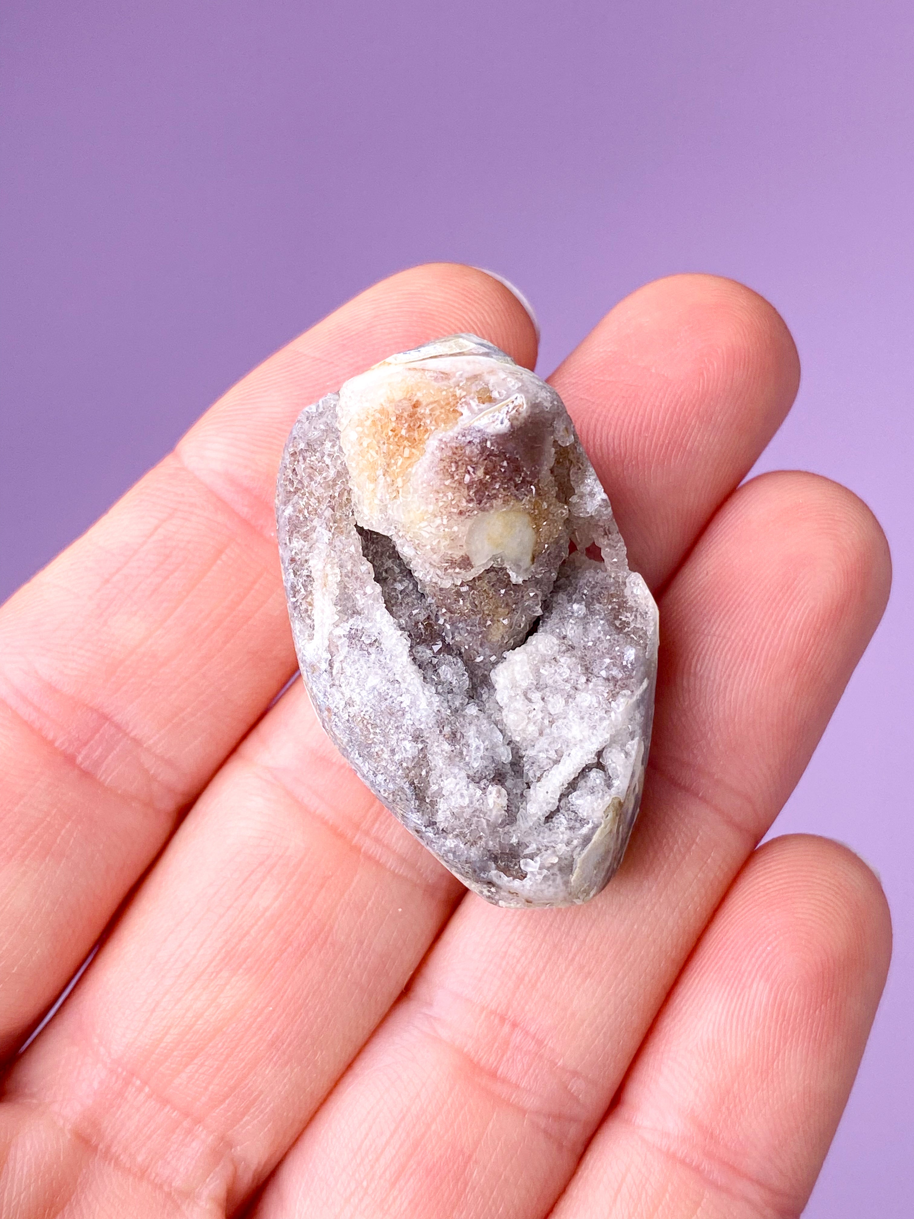 Druzy Konkylie Fossil (Nr. 5)