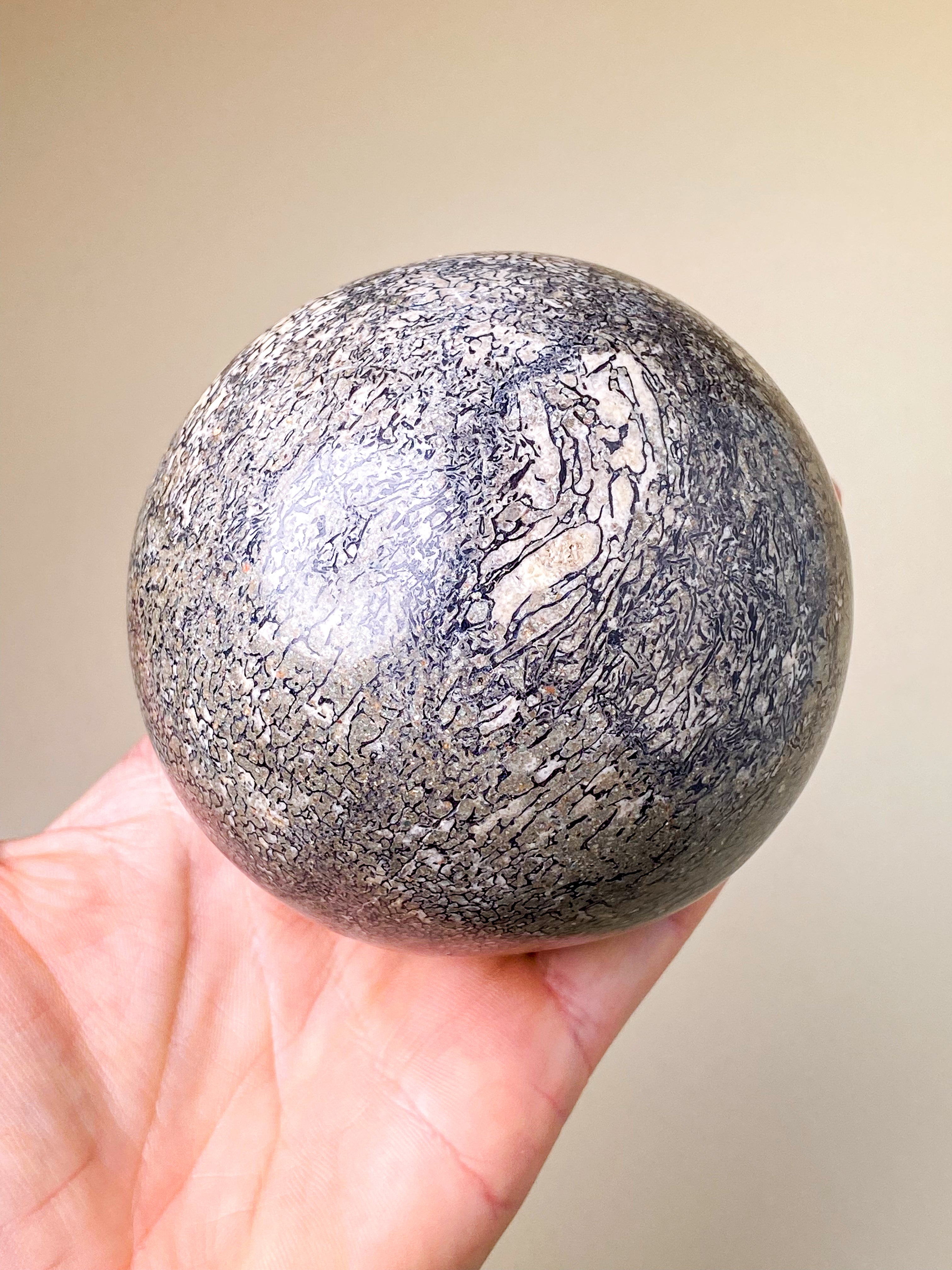 Dinosaur Knogle Kugle Stor (Nr. 1)
