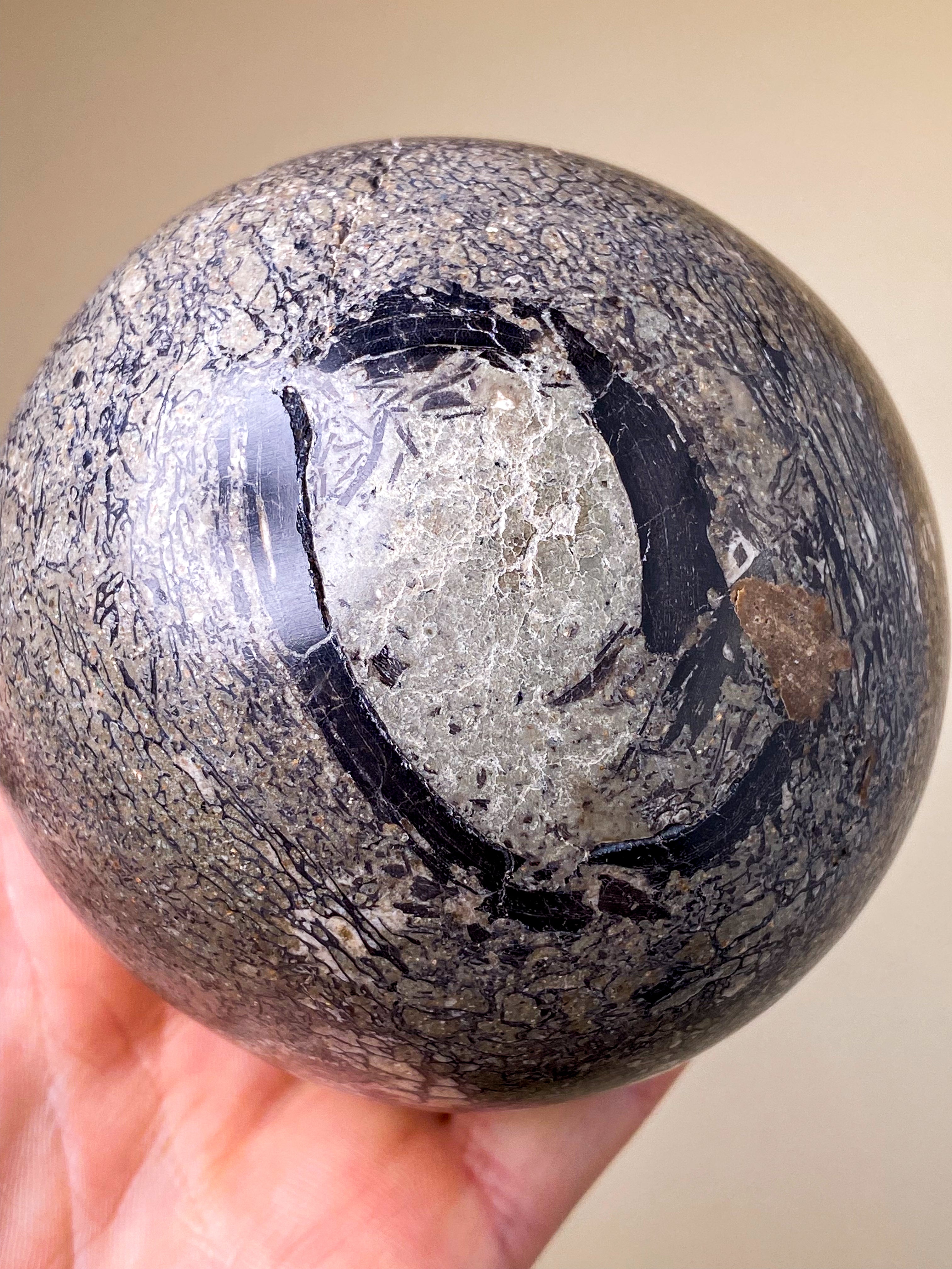 Dinosaur Knogle Kugle Stor (Nr. 1)