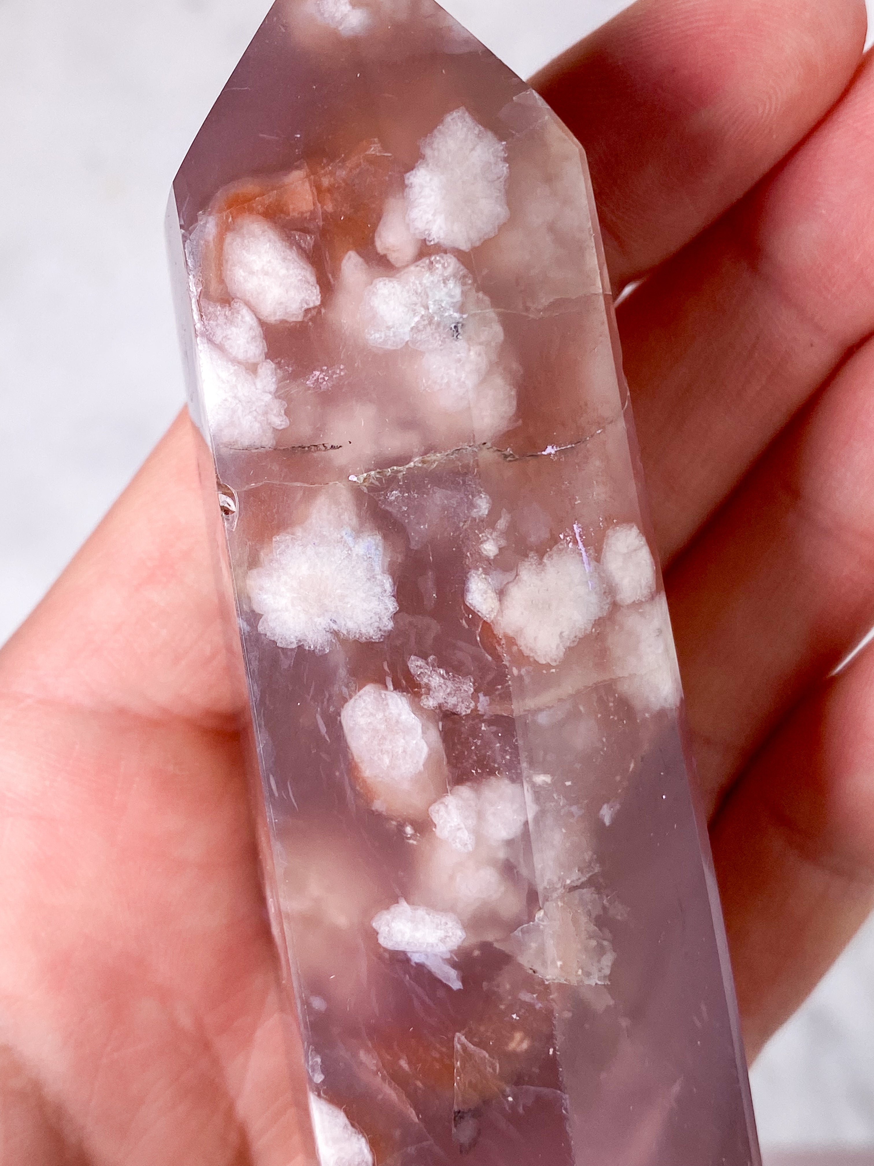 Plommonblomsagattorn (nr 2)