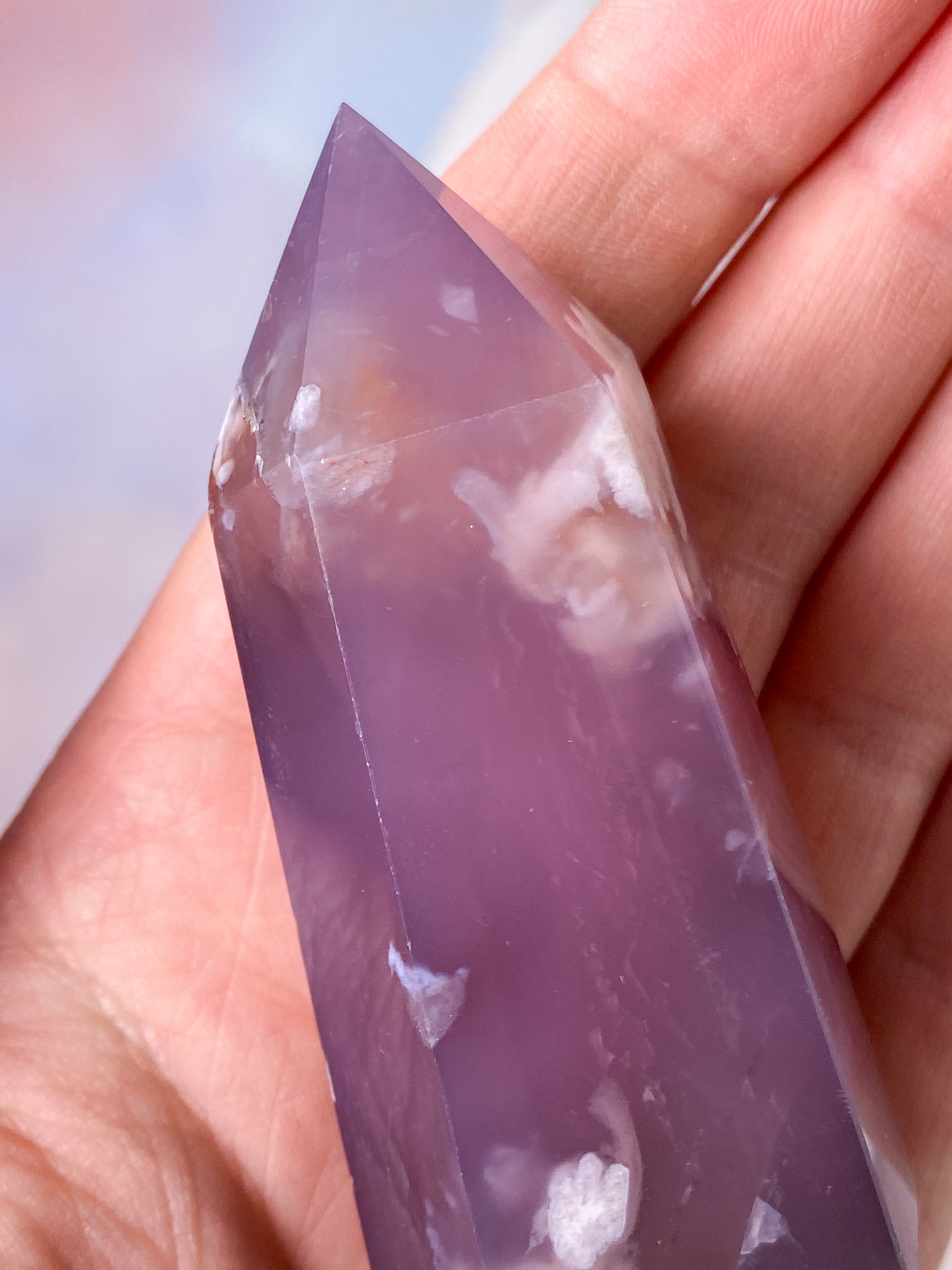 Plommonblomsagattorn (nr 12)