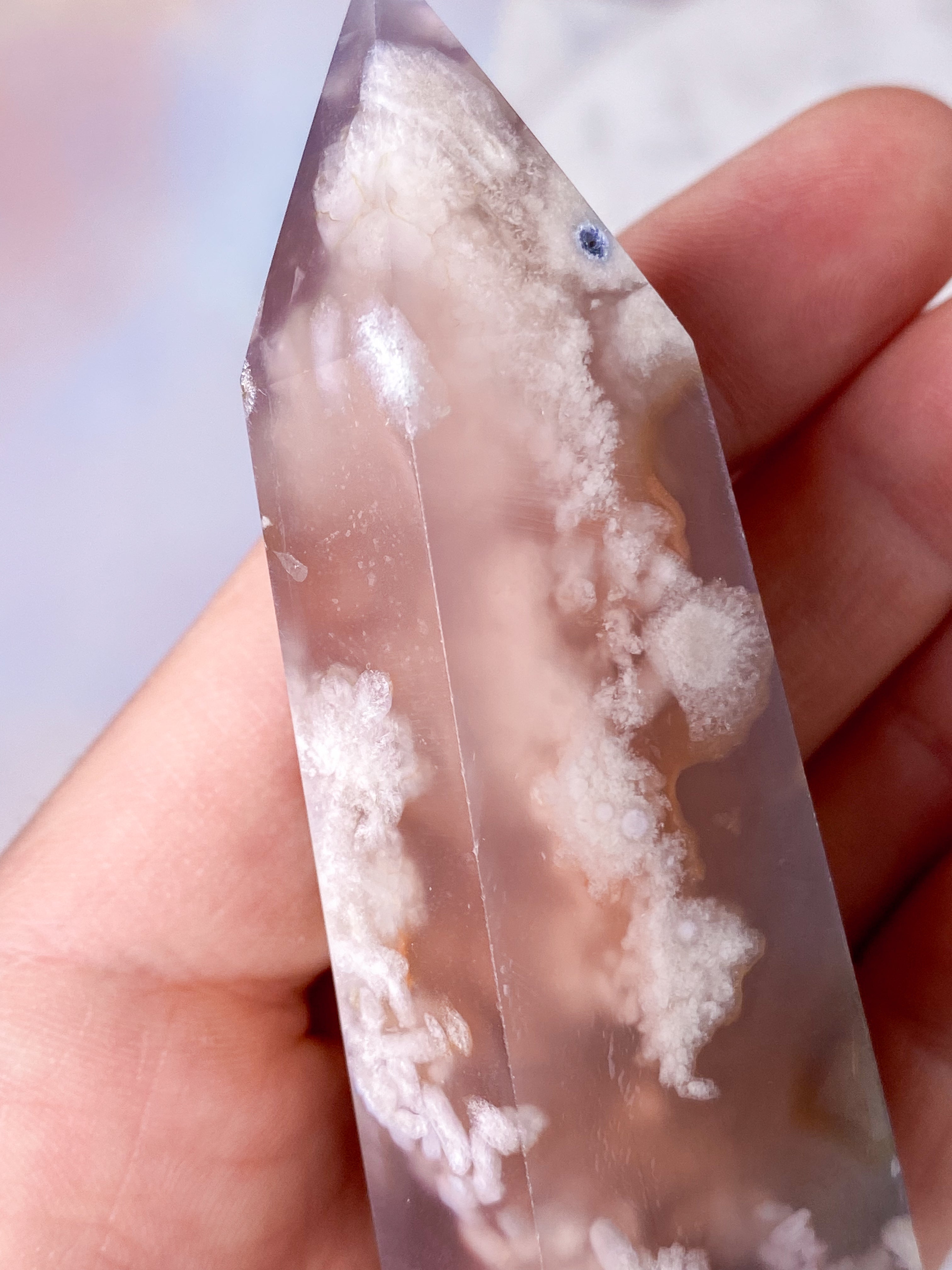 Plommonblomsagattorn (nr 13)