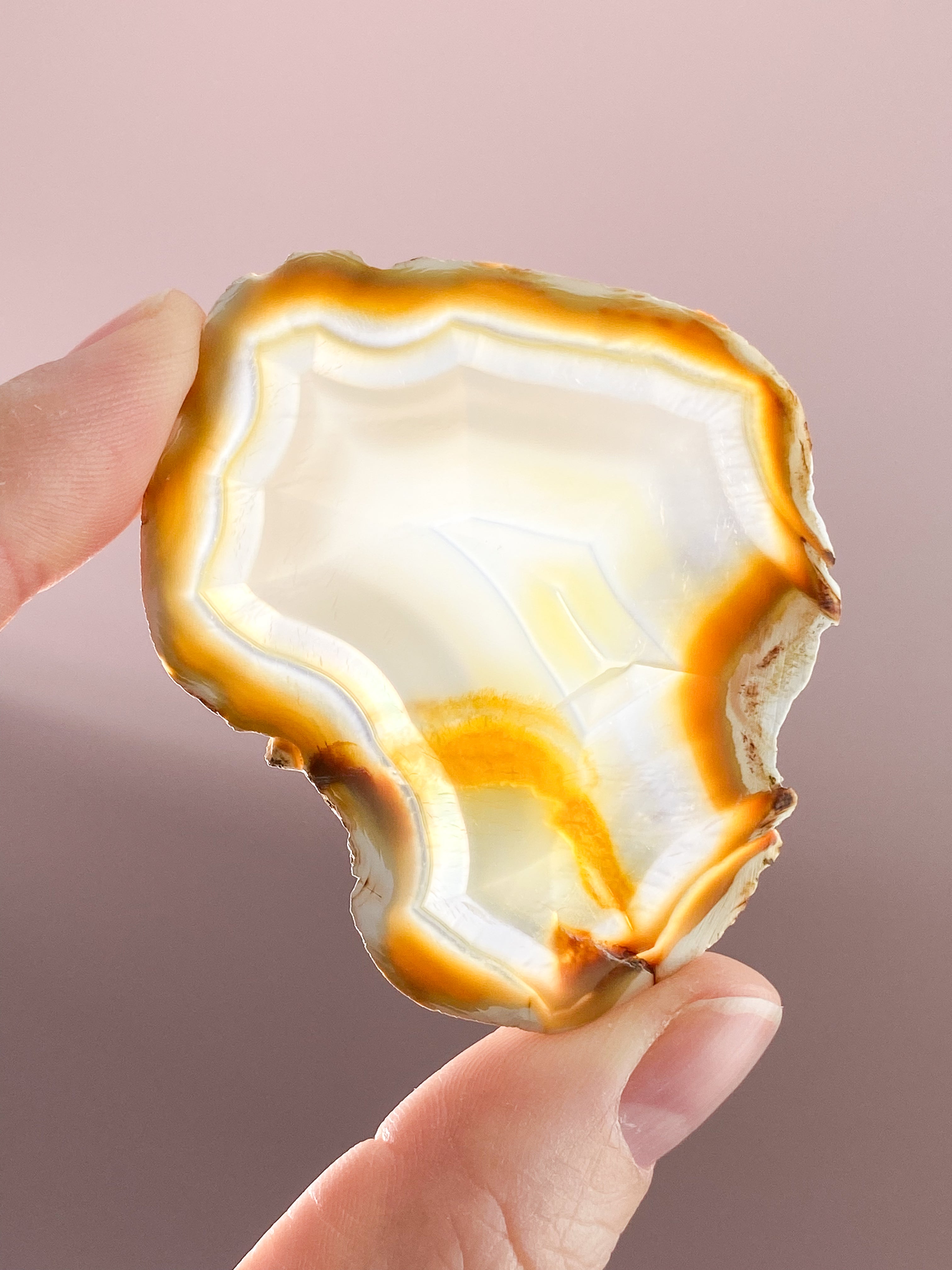 Iris Agatskiva (nr 34)