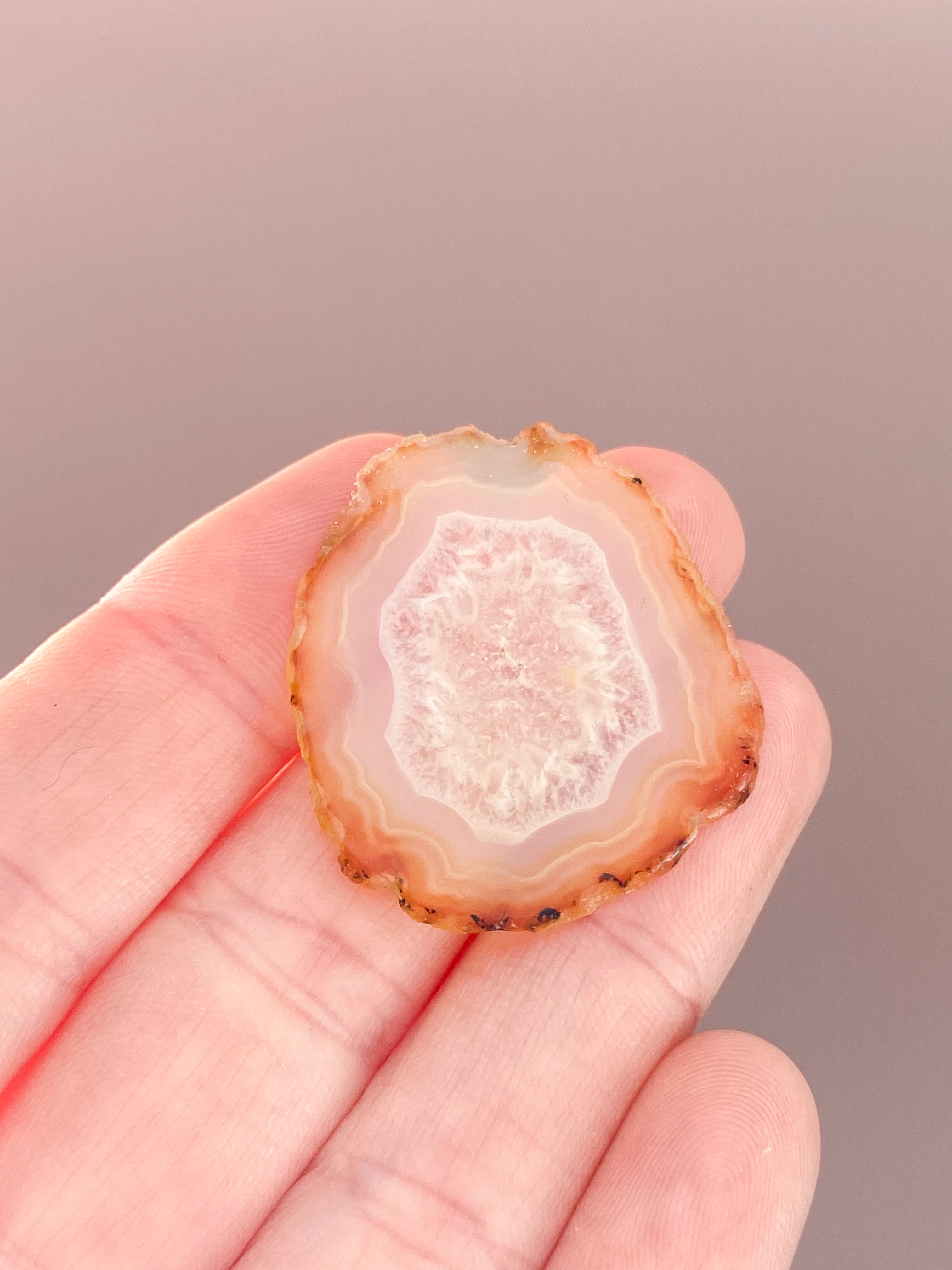 Iris Agatskiva (nr 36)