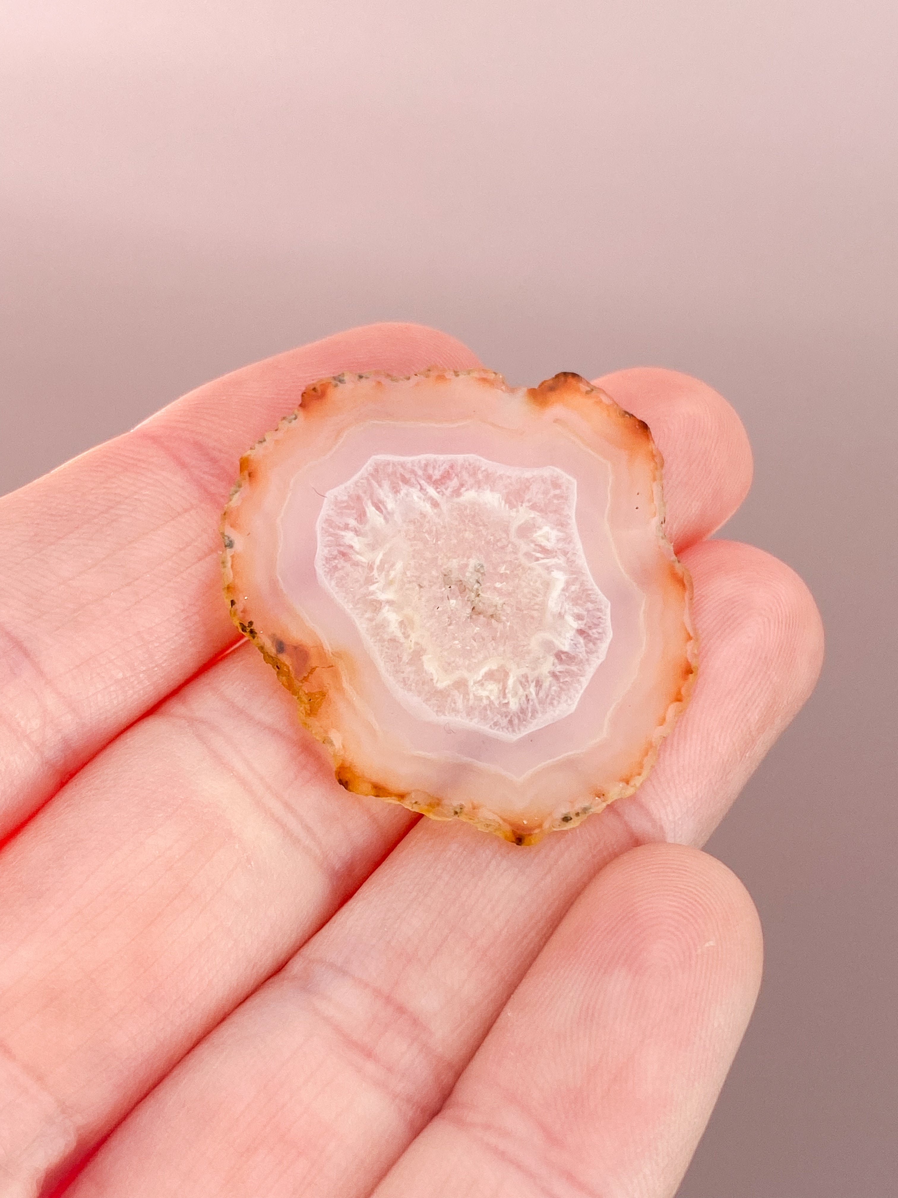 Iris Agatskiva (nr 37)