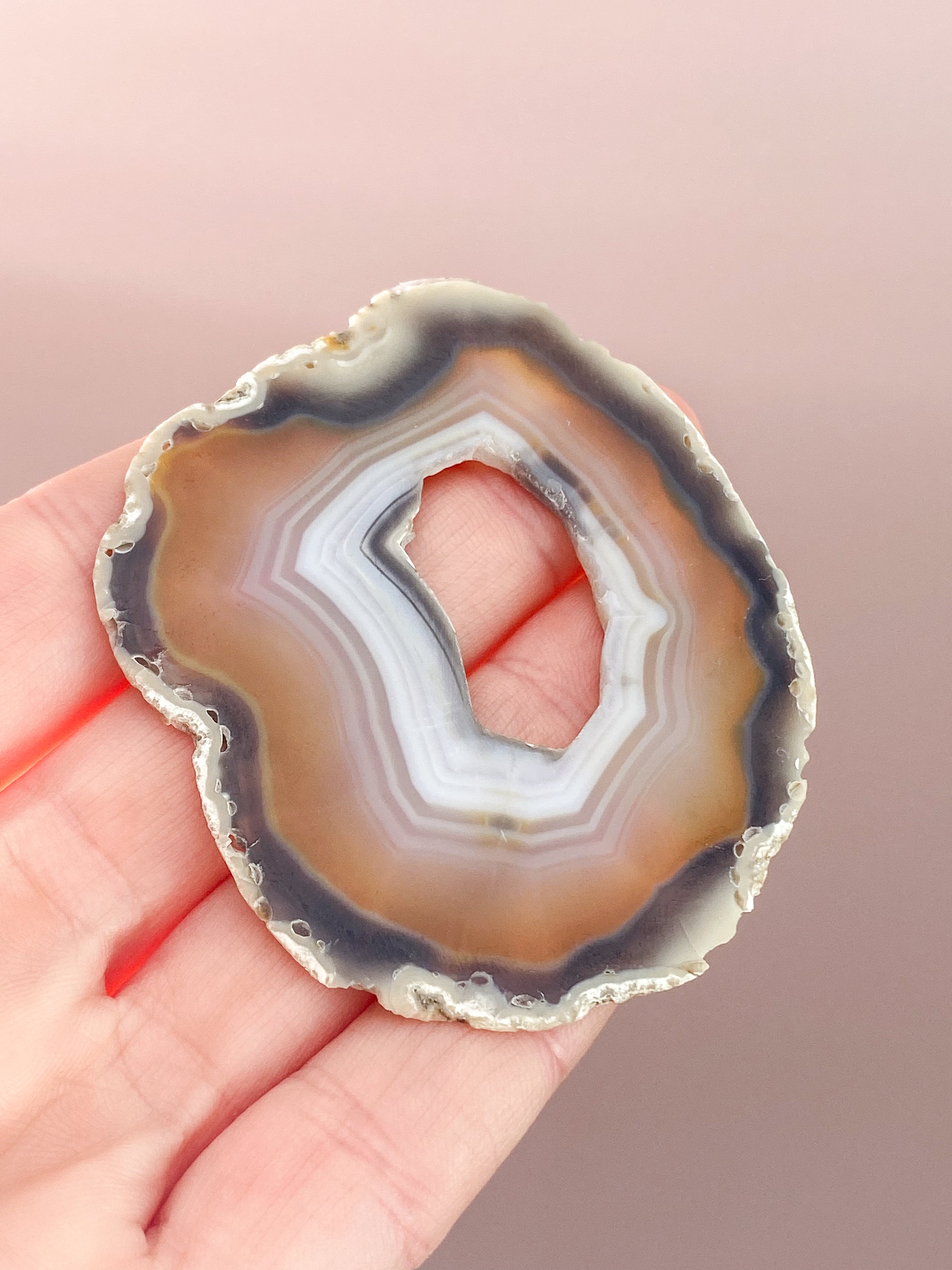 Iris Agatskiva (nr 42)