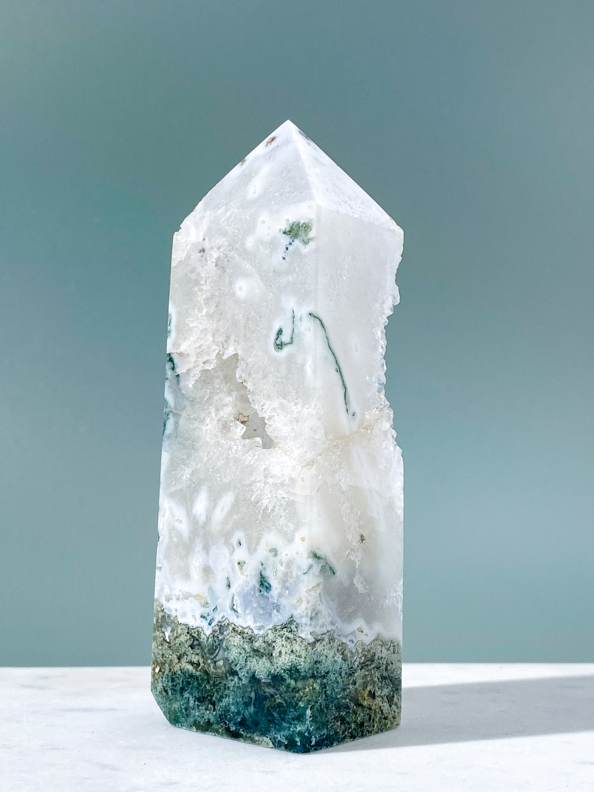 Druzy Moss-agat torn (nr. 7)