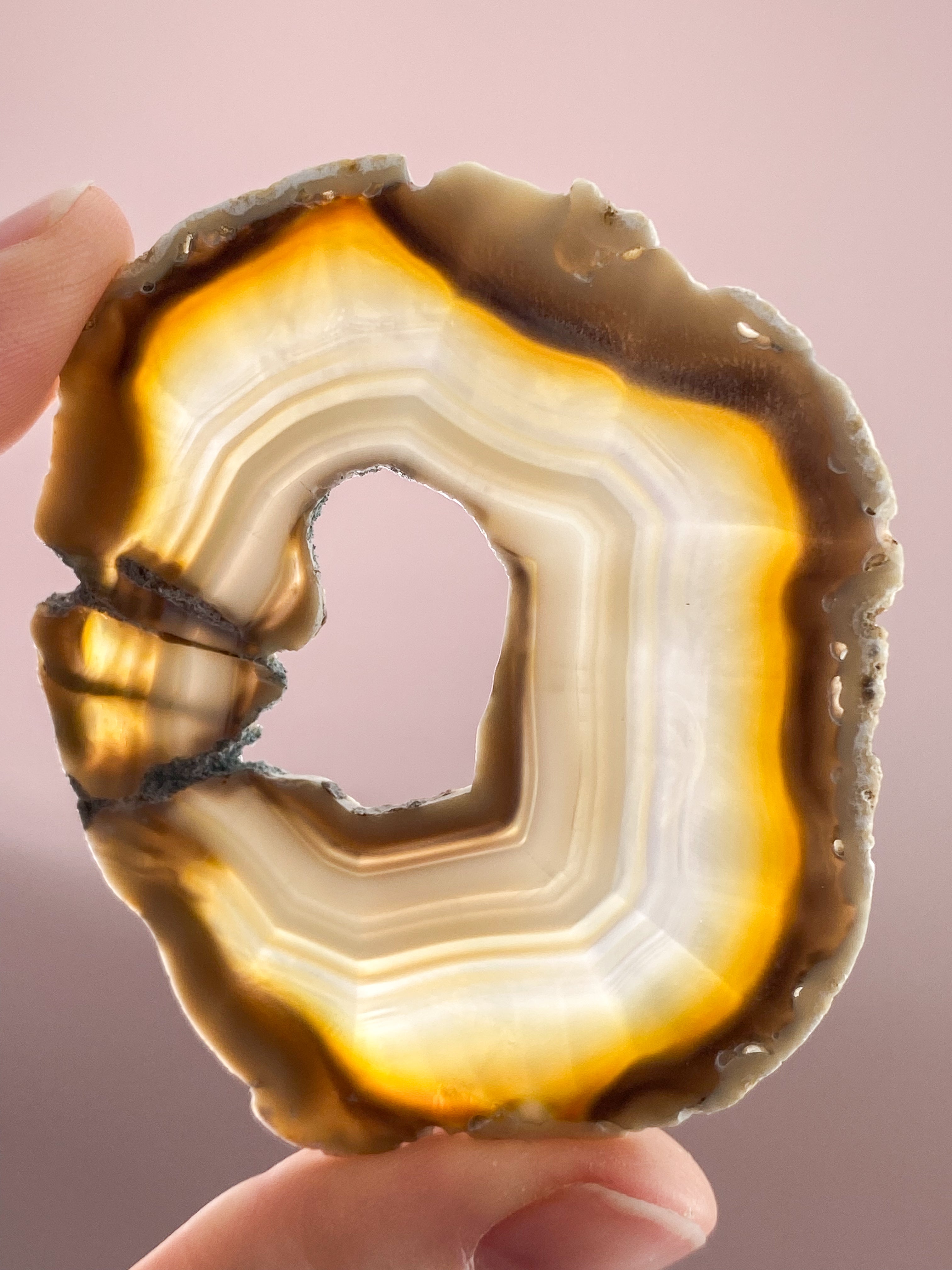 Iris Agatskiva (nr 43)