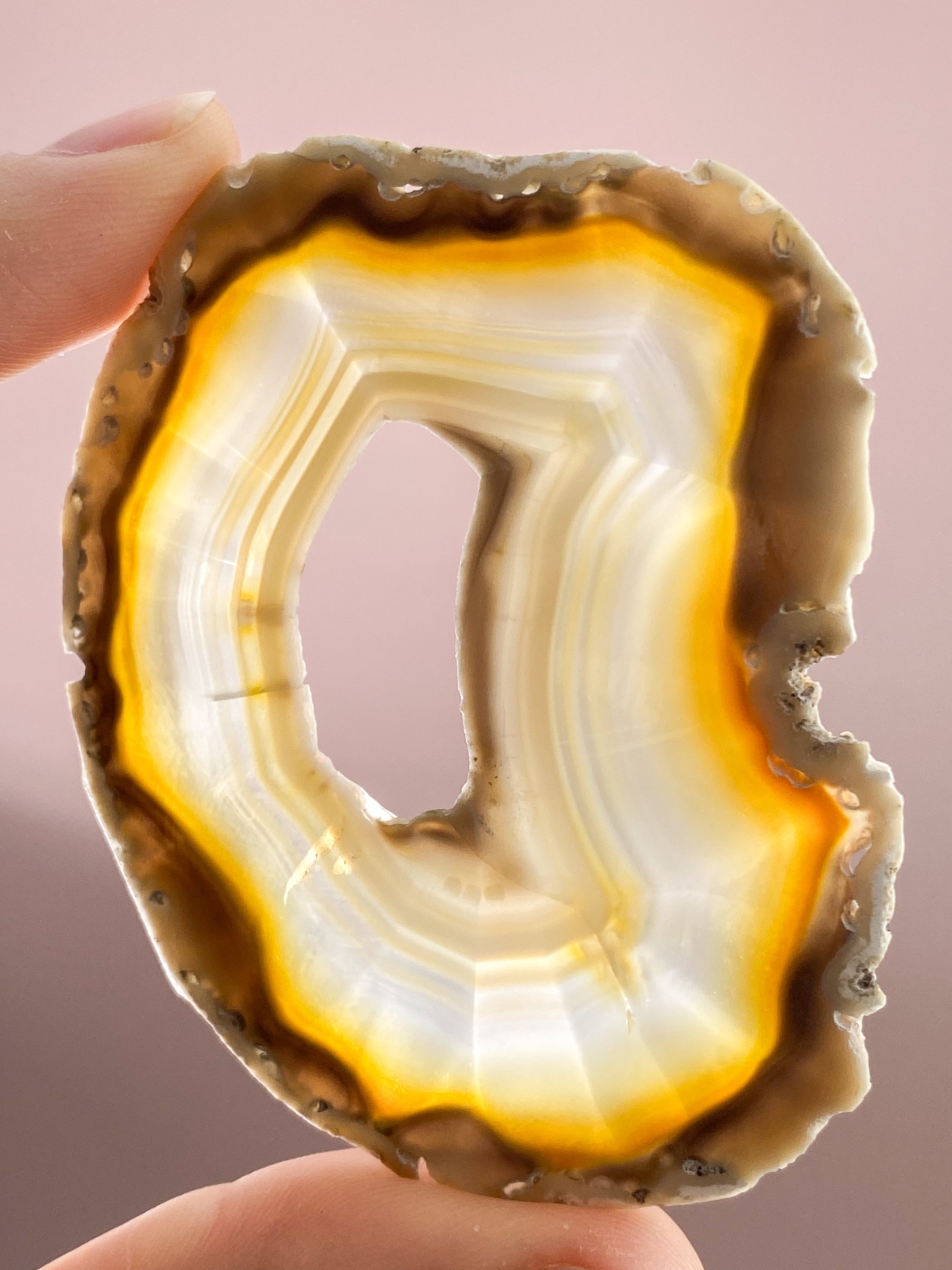 Iris Agatskiva (nr 44)