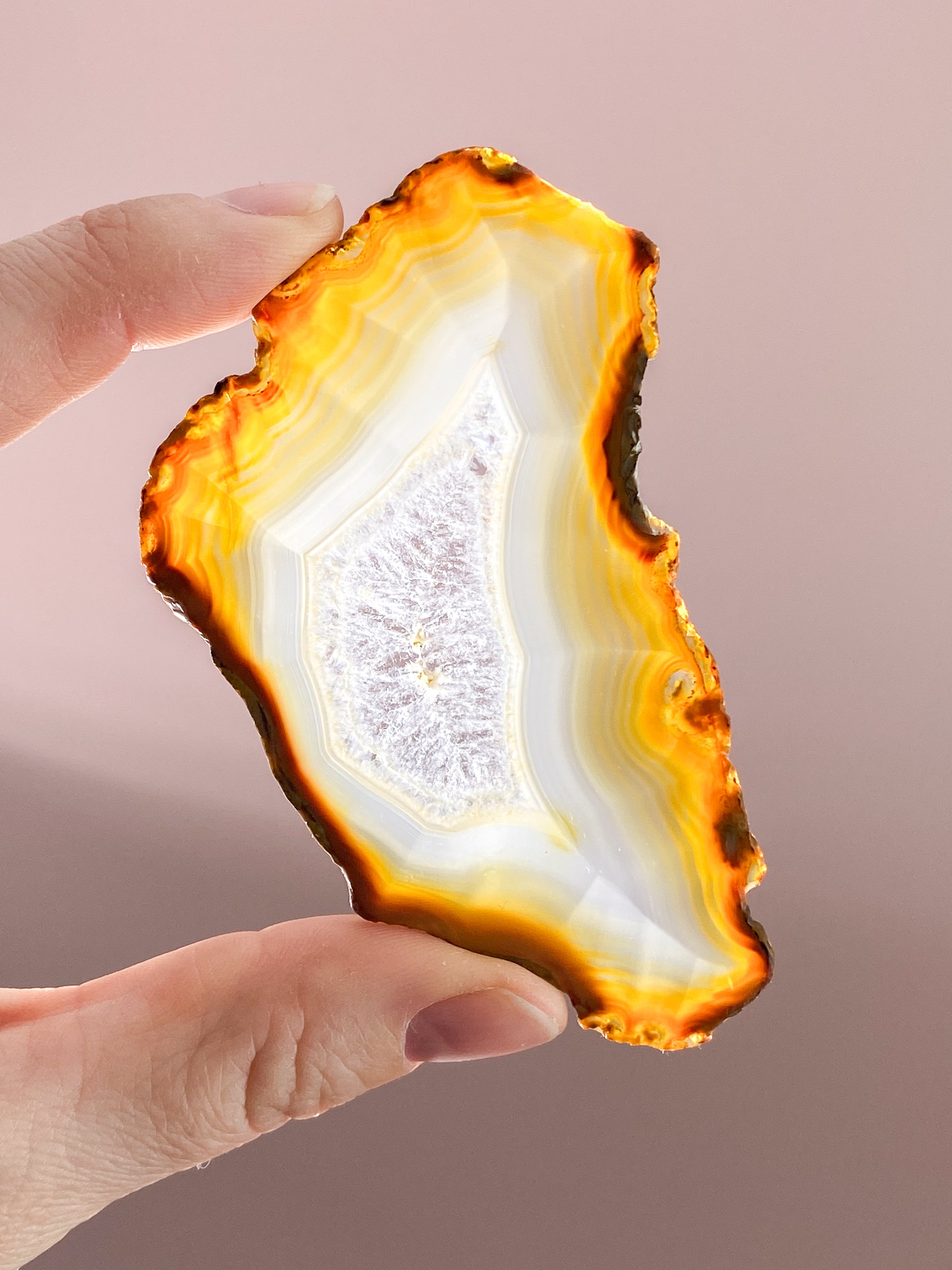 Iris Agatskiva (nr 46)