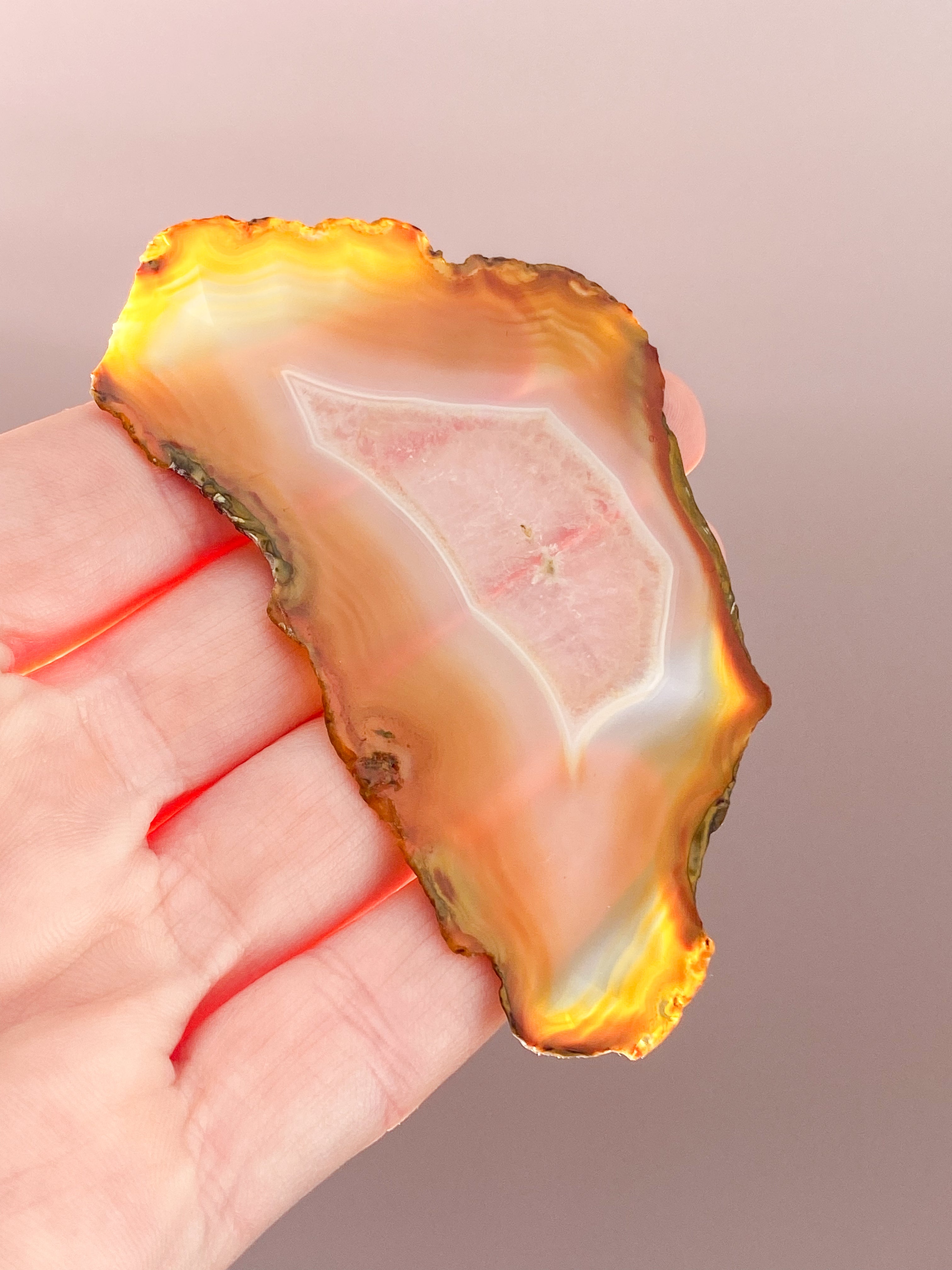 Iris Agatskiva (nr 46)