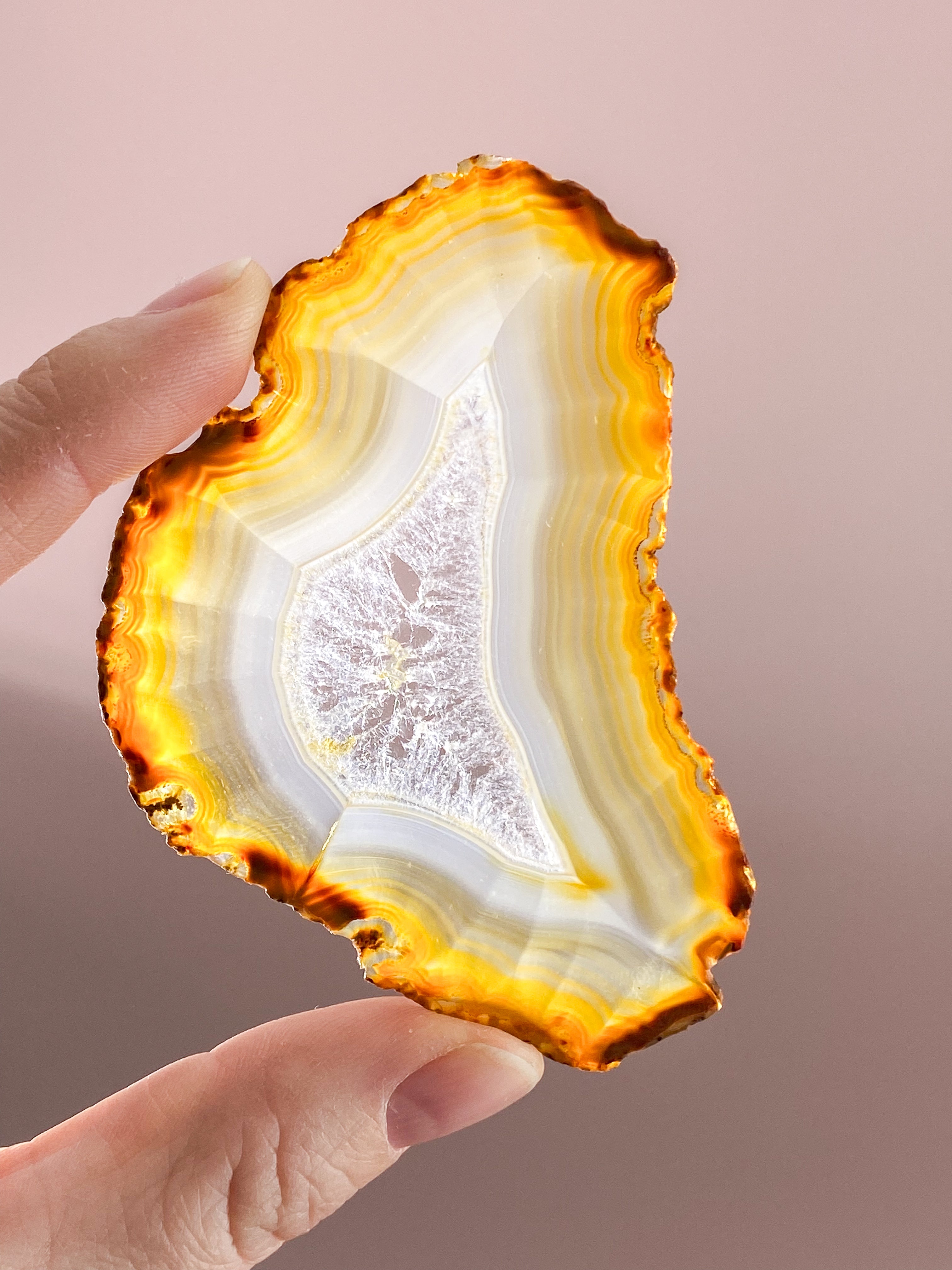 Iris Agatskiva (nr 47)