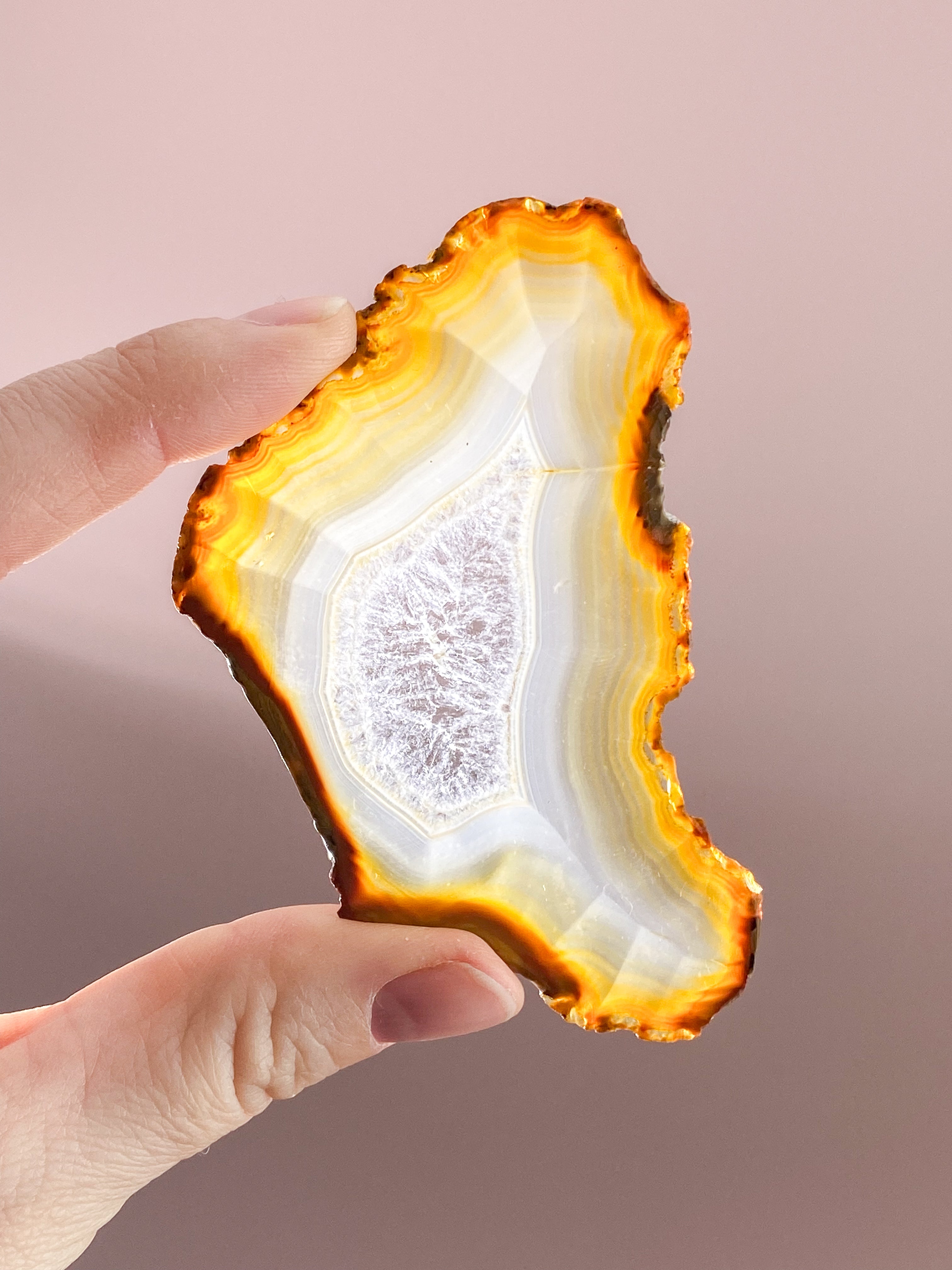 Iris Agatskiva (nr 48)