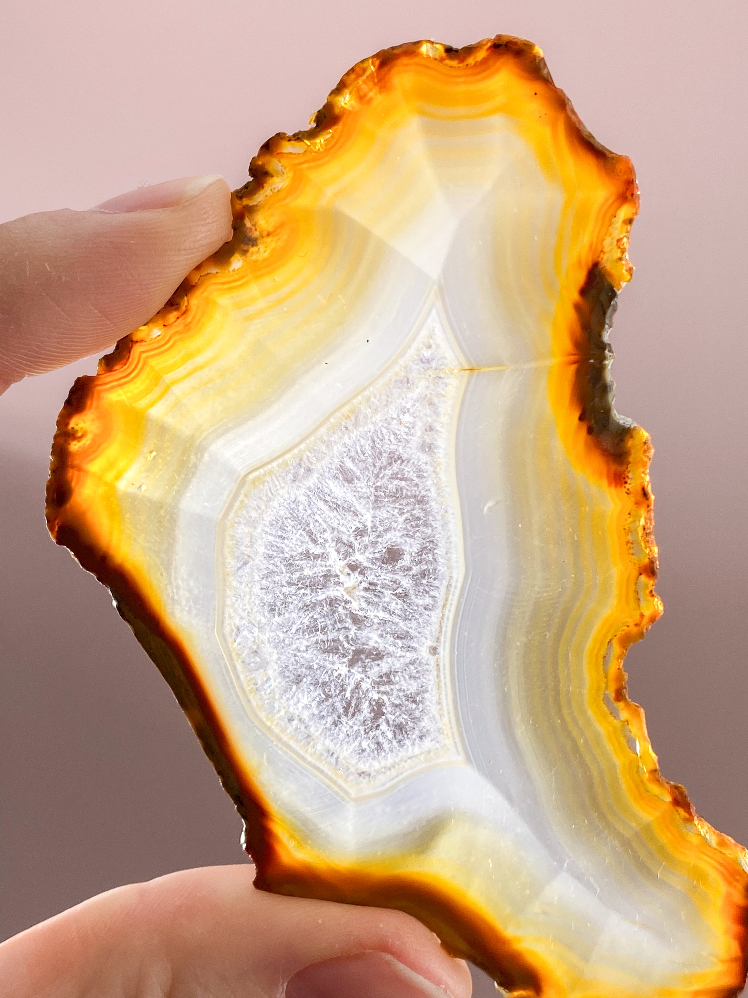 Iris Agatskiva (nr 48)