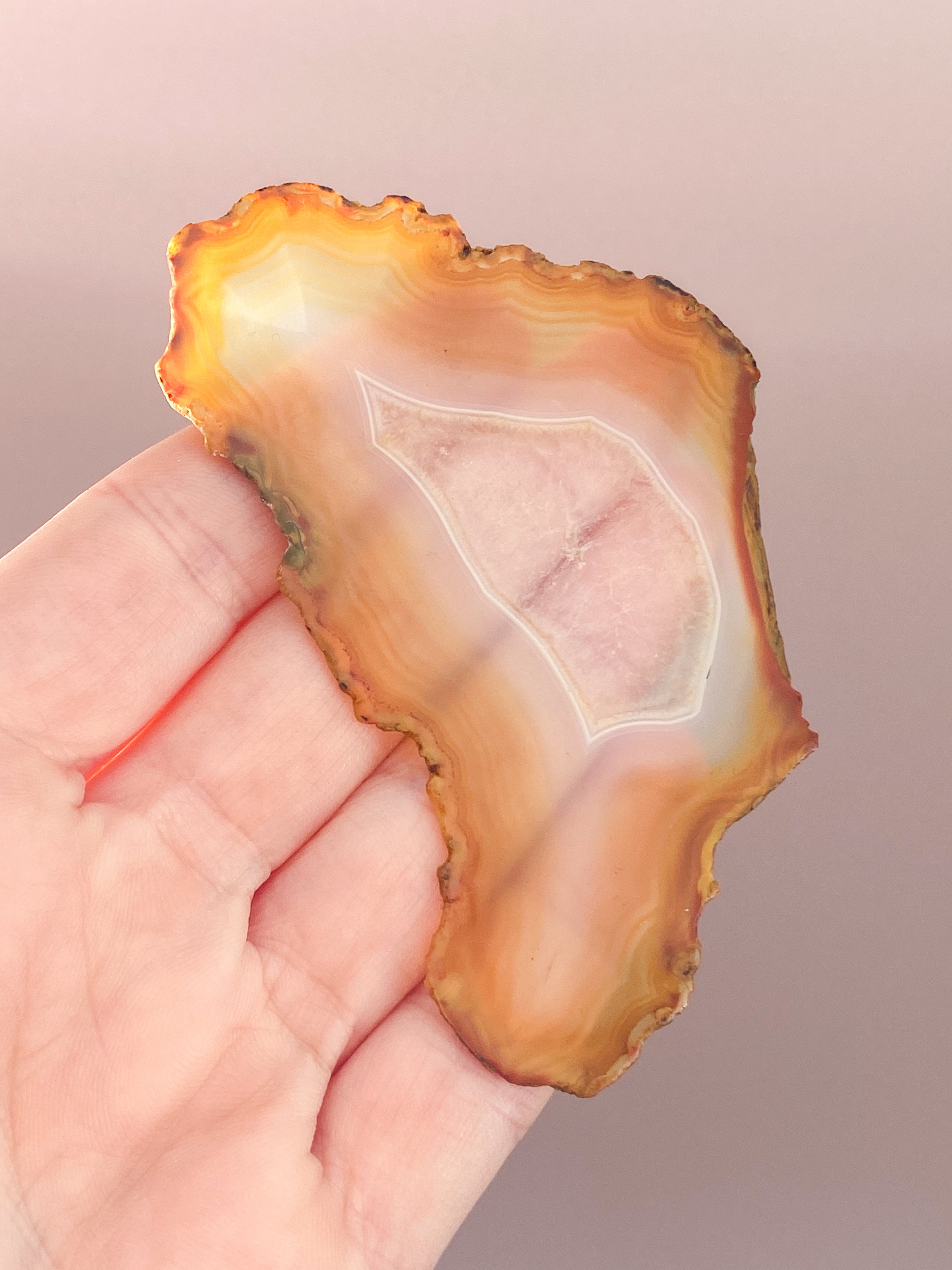 Iris Agatskiva (nr 48)