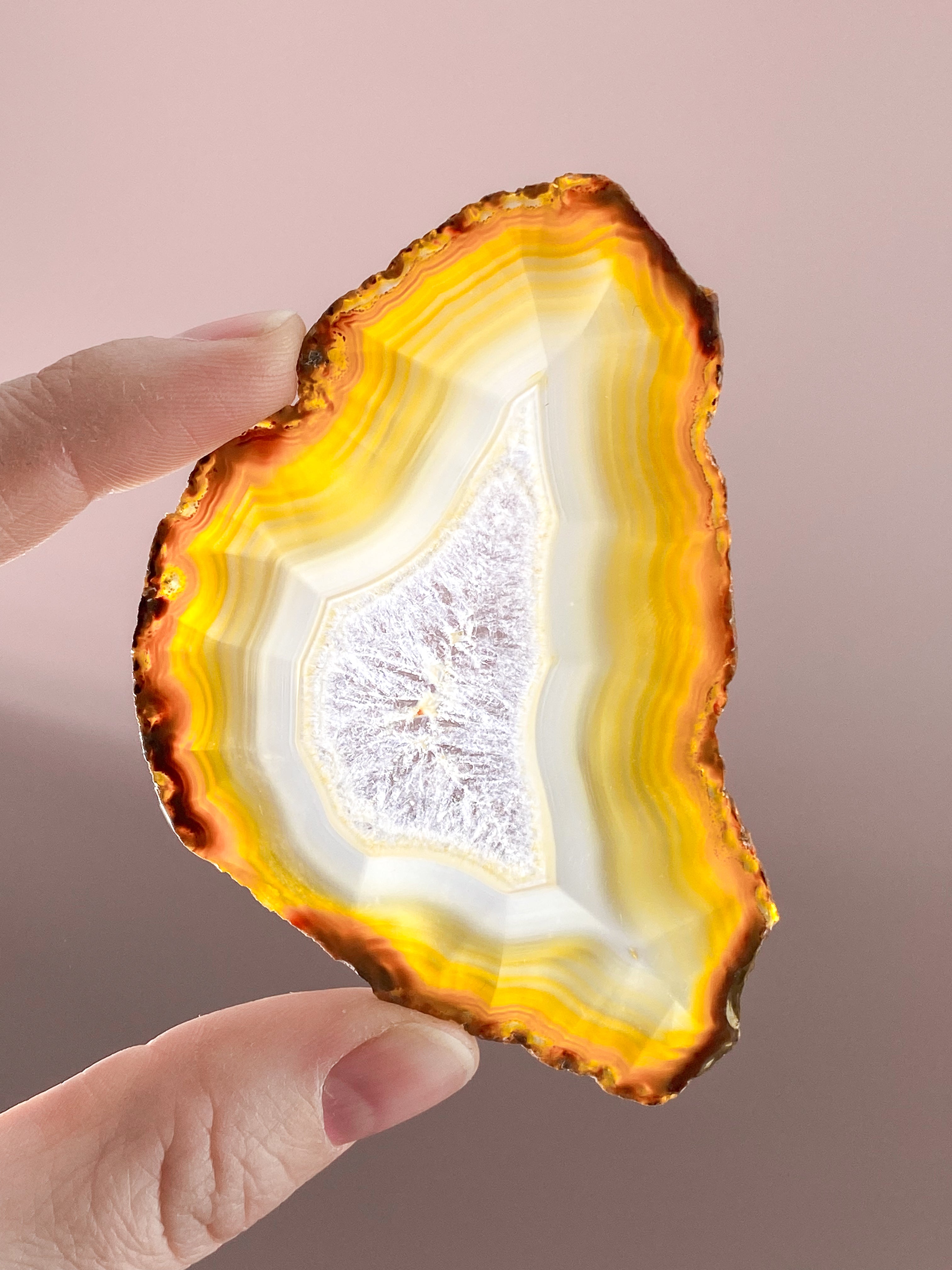 Iris Agatskiva (nr 50)