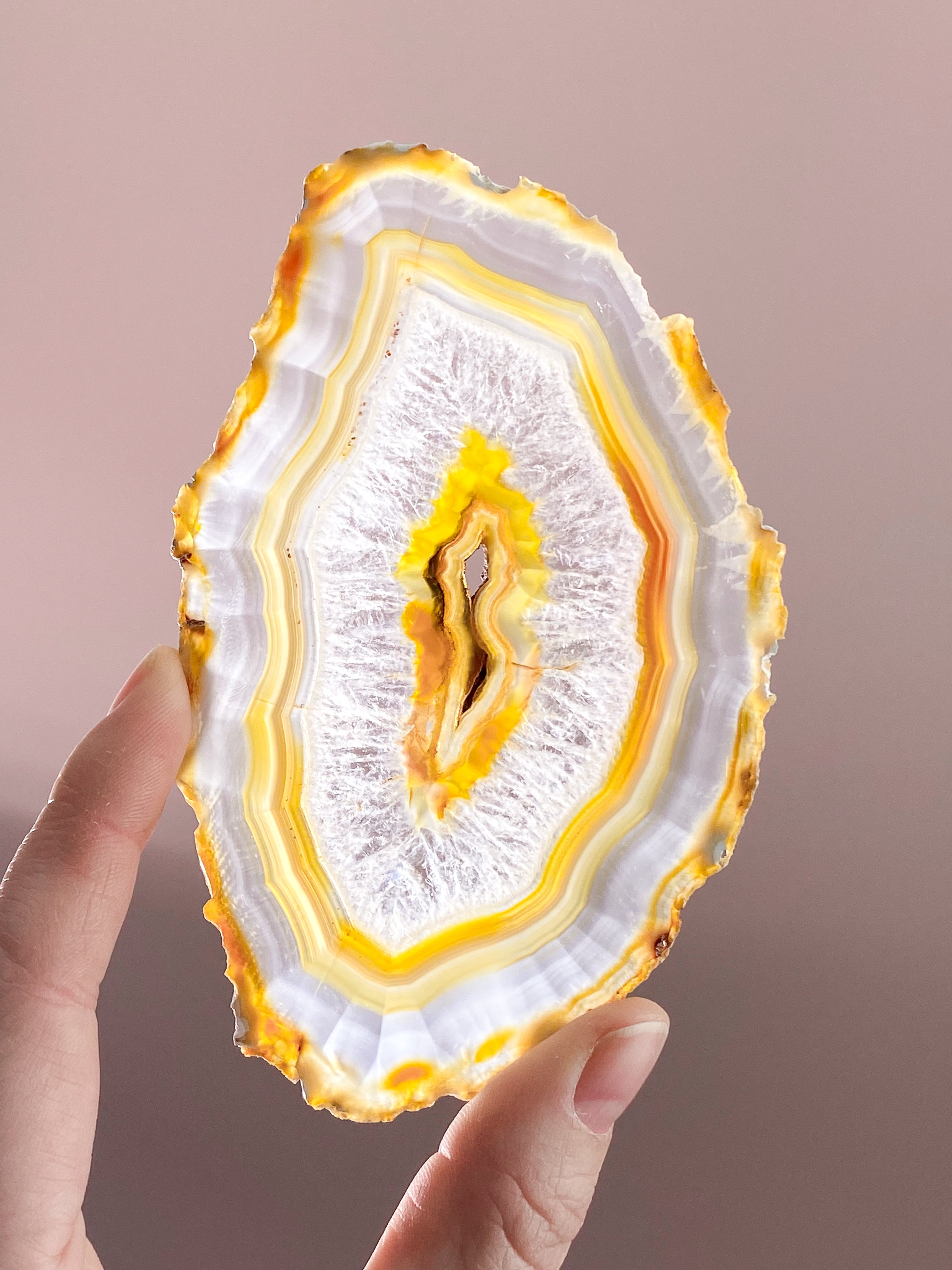 Iris Agatskiva (nr 51)