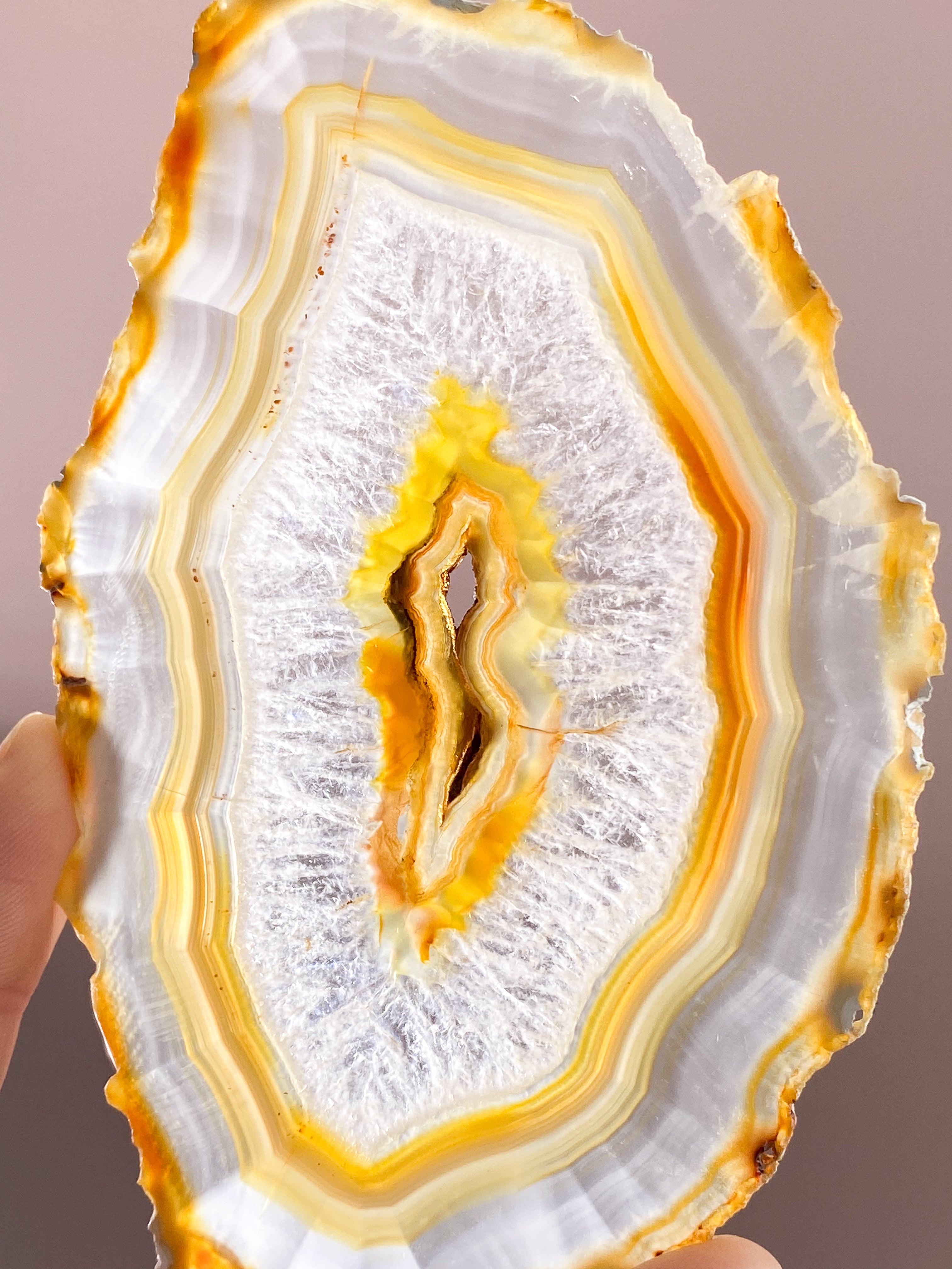 Iris Agatskiva (nr 51)