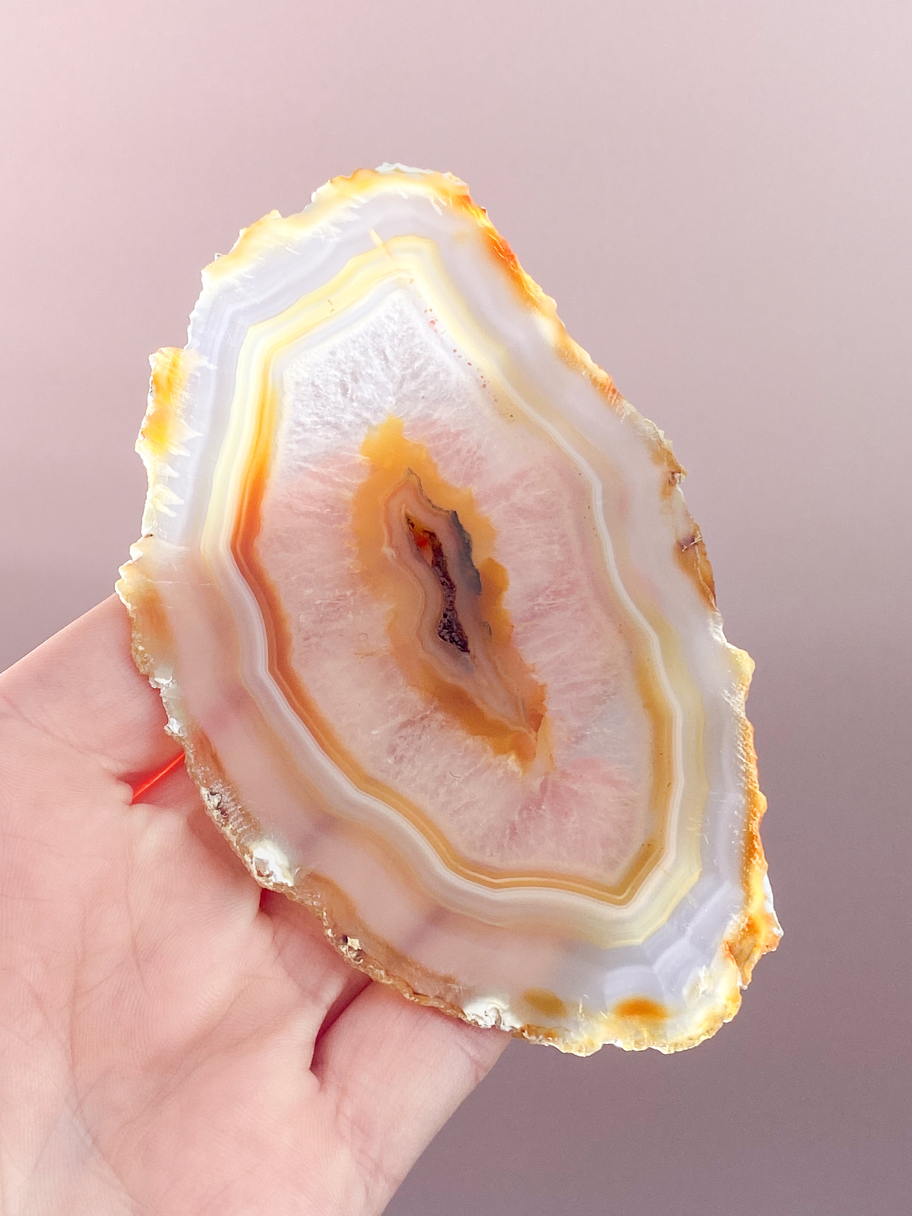 Iris Agatskiva (nr 51)