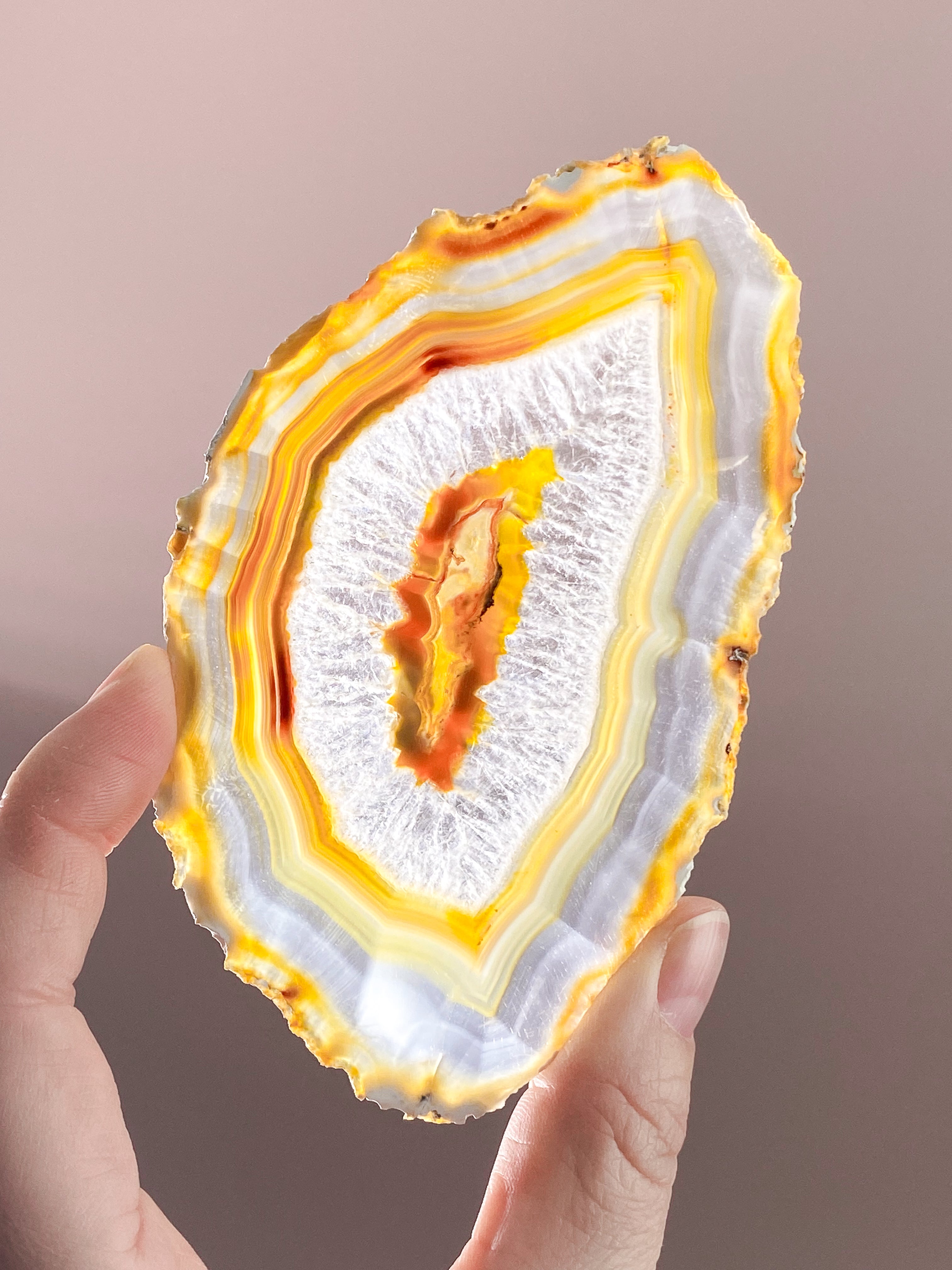 Iris Agatskiva (nr 52)