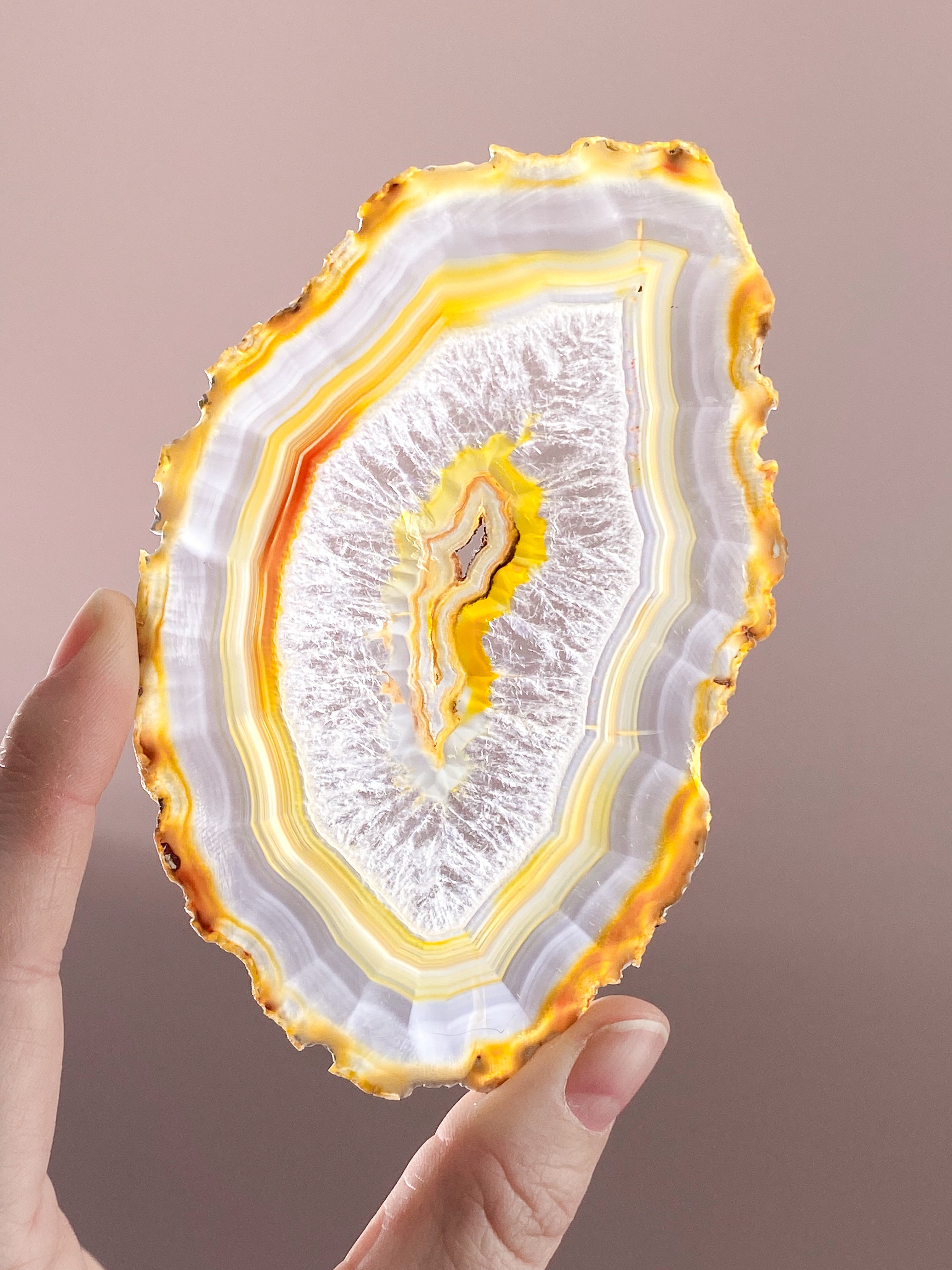 Iris Agatskiva (nr 55)