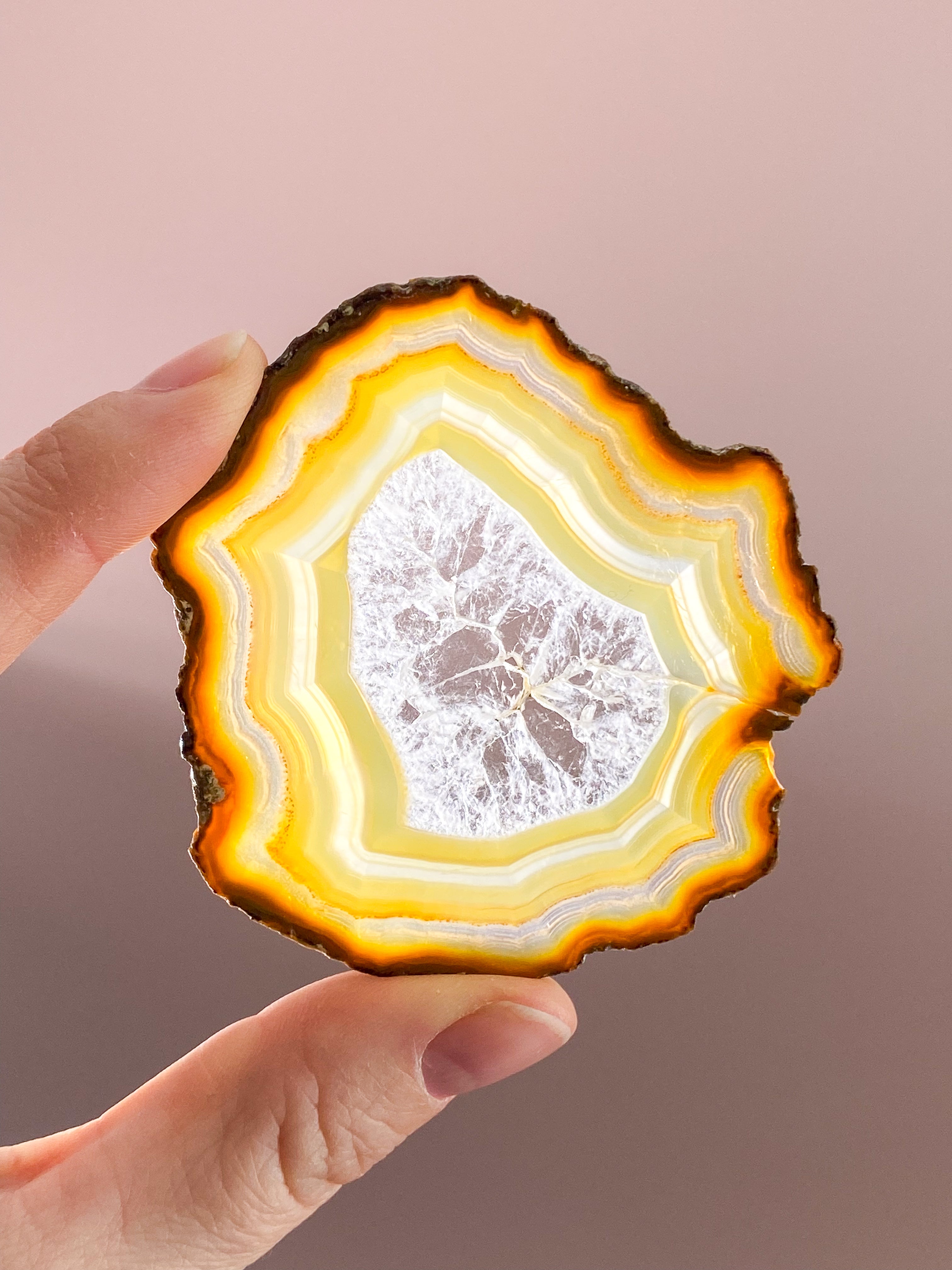 Iris Agatskiva (nr 57)