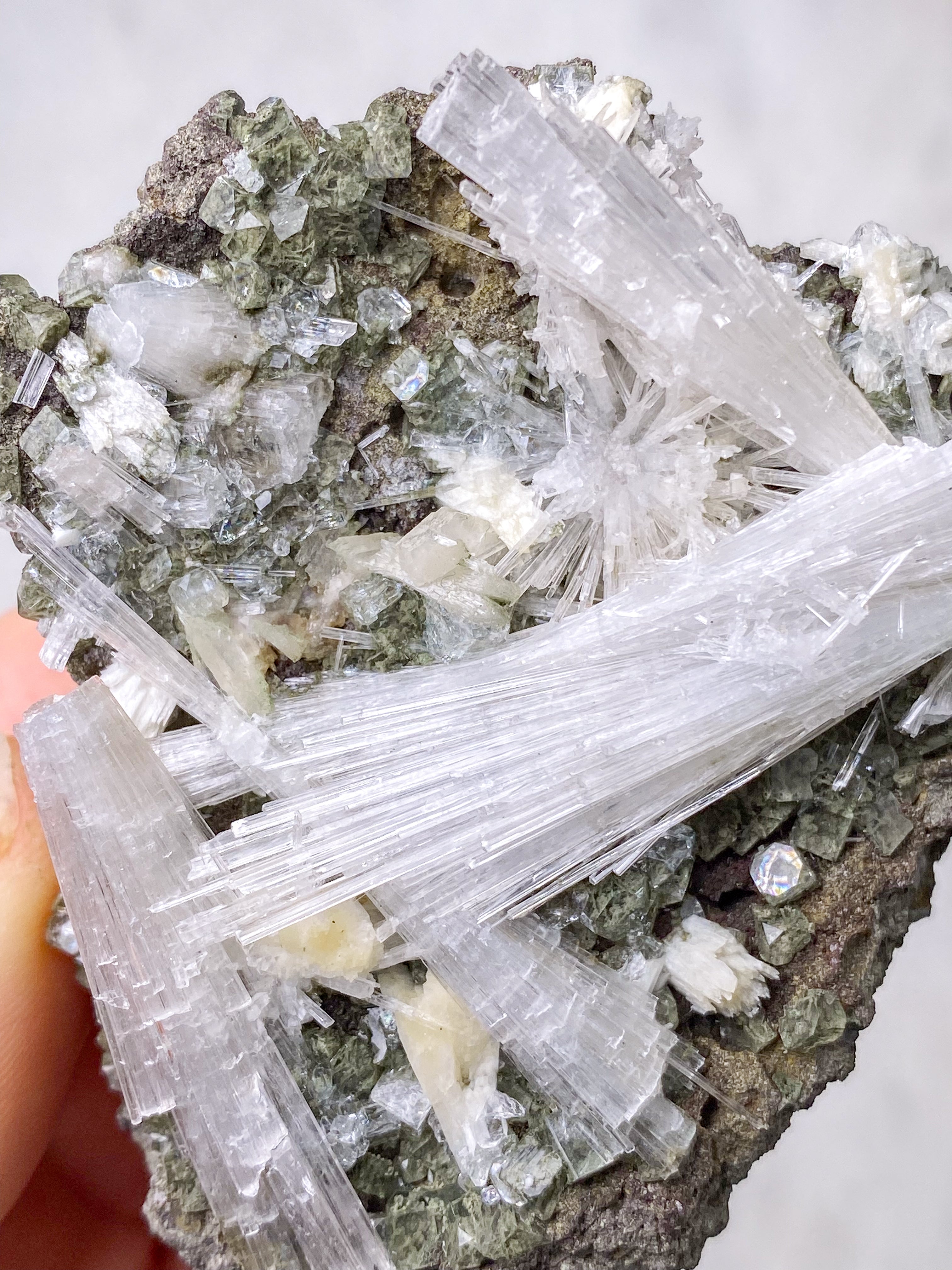 Skolesitkluster (nr 10)