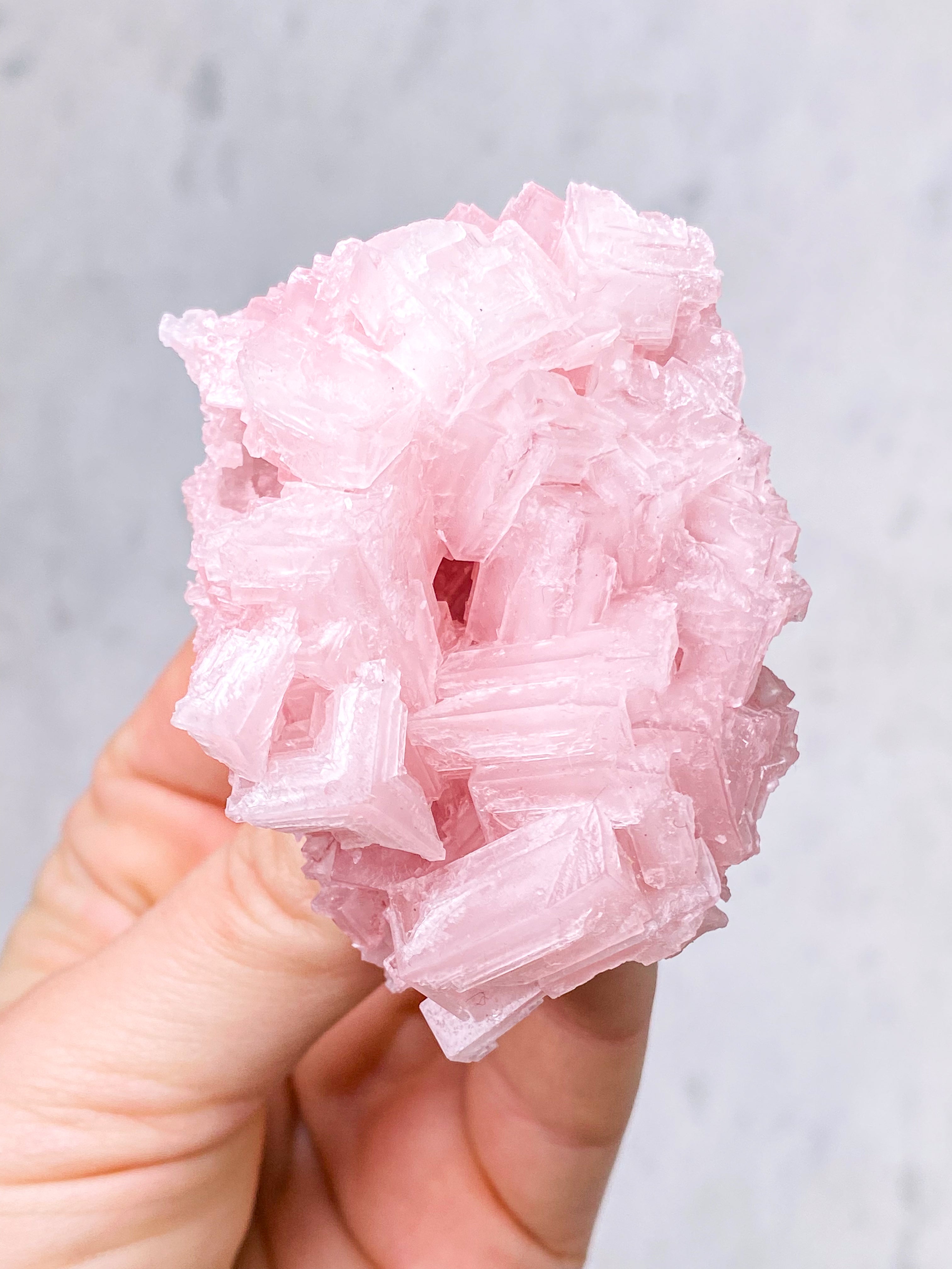 Mørk Pink Halit (Nr. 7) Eksklusiv Kvalitet
