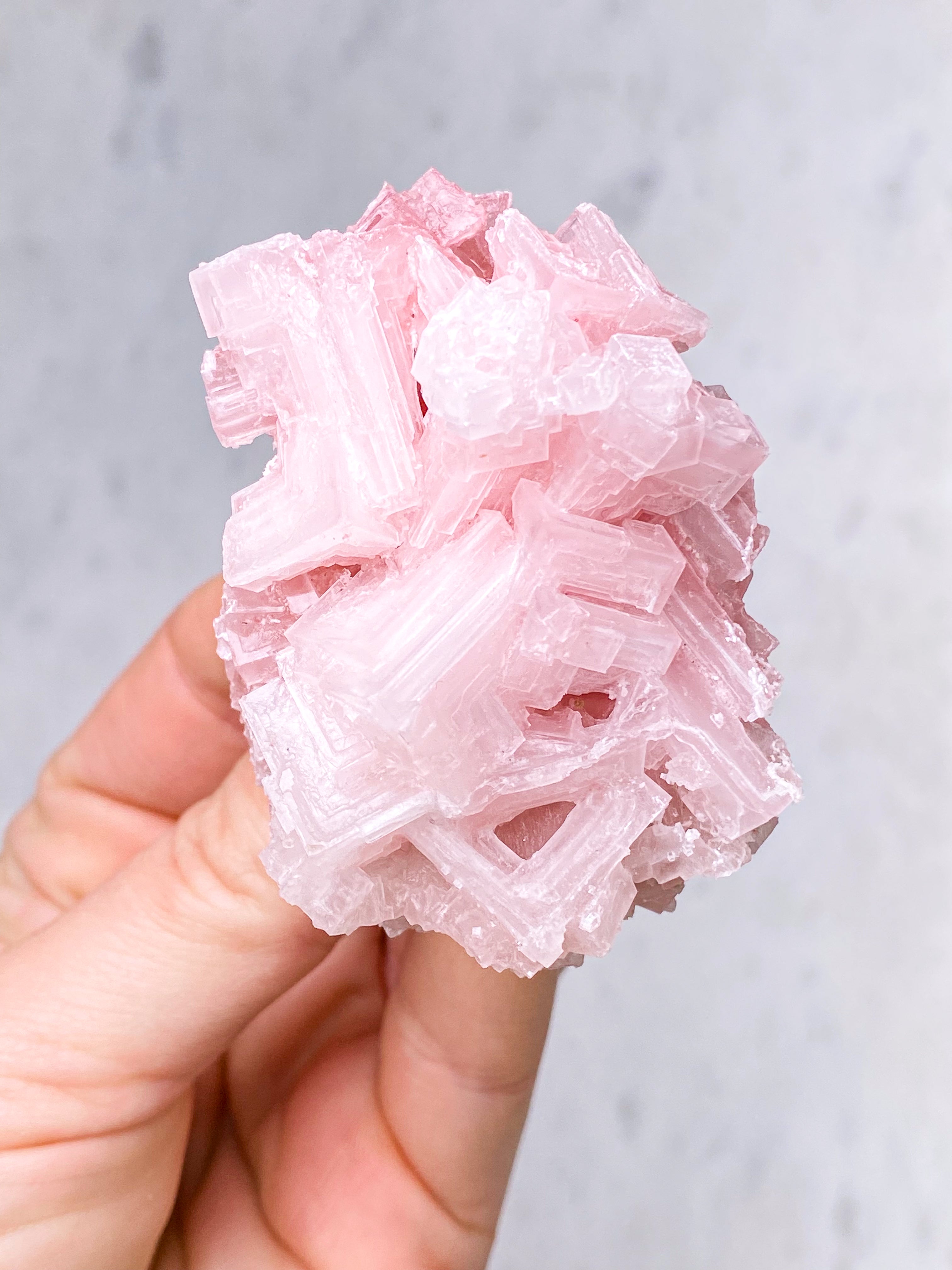 Mørk Pink Halit (Nr. 13) Eksklusiv Kvalitet