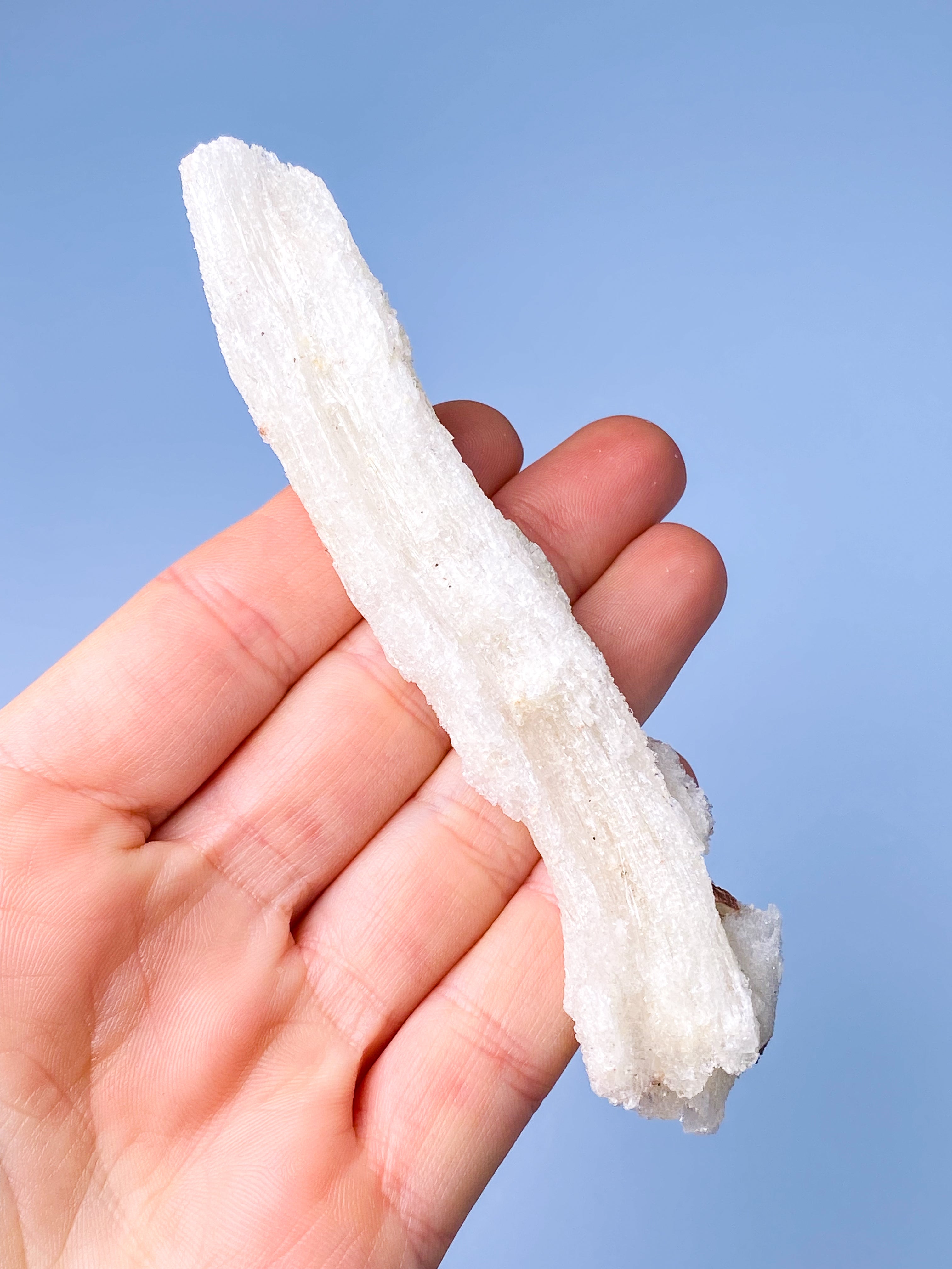 Vädurshornselenit (nr 1) Exklusiv kvalitet