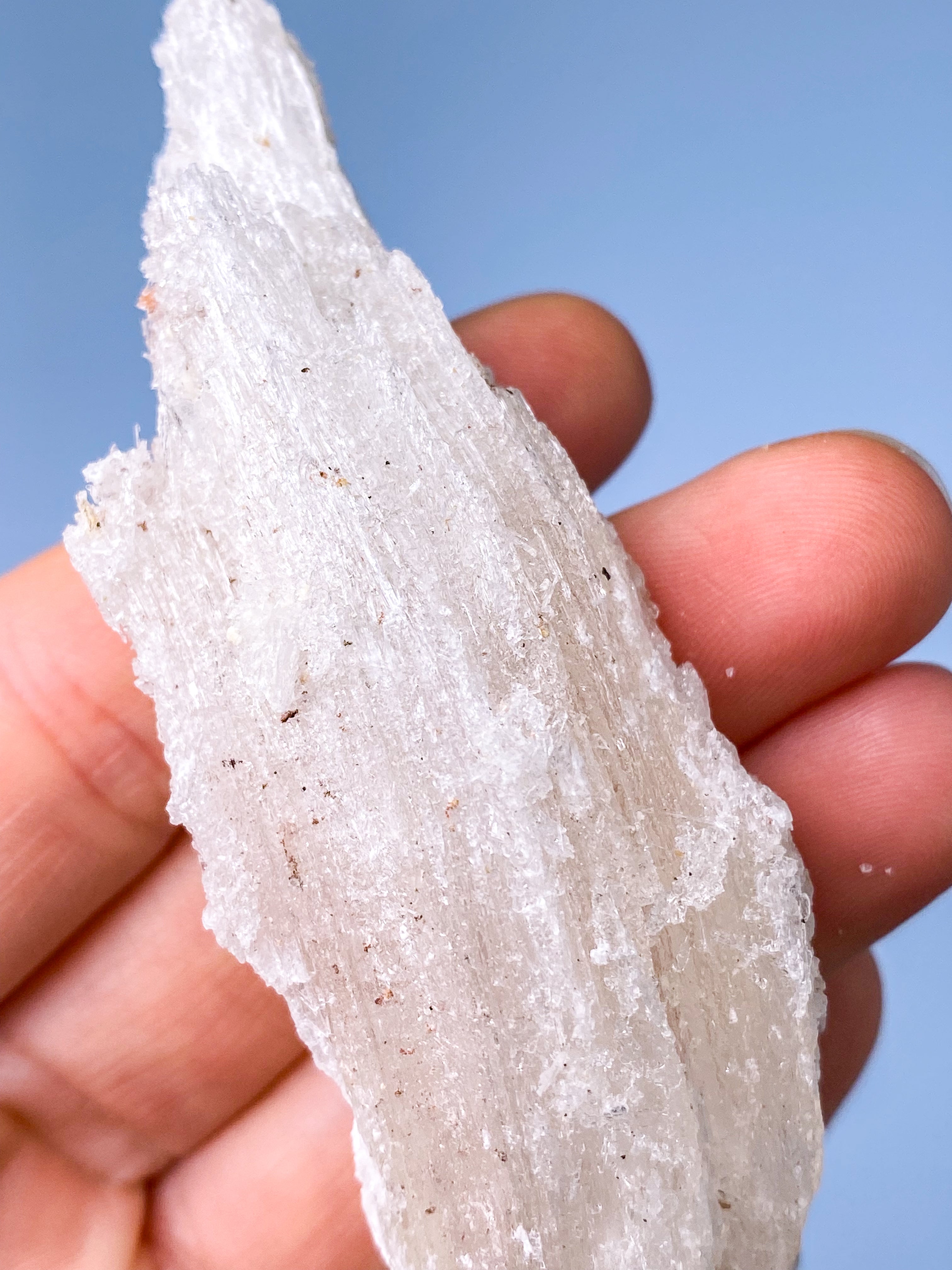 Vädurshornselenit (nr 1) Exklusiv kvalitet