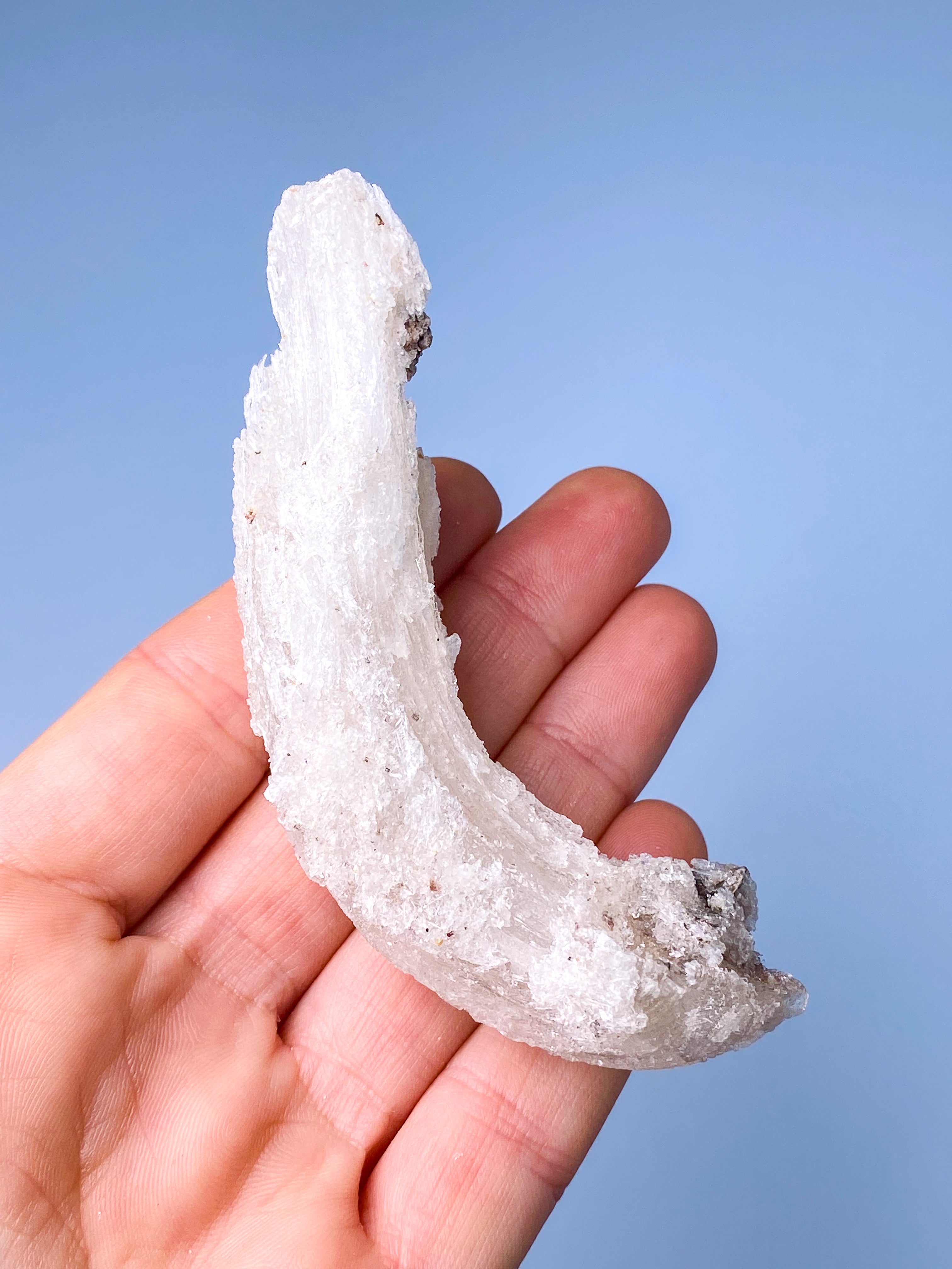 Vädurshornselenit (nr 1) Exklusiv kvalitet