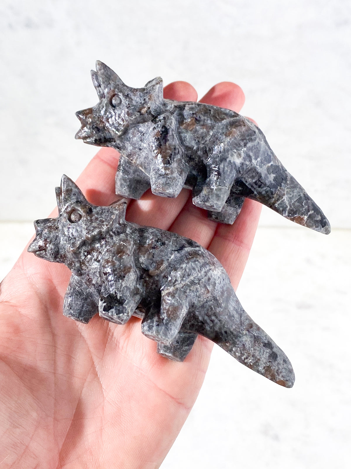 Yooperlit Triceratops (Grå Sodalit) UV Reaktiv