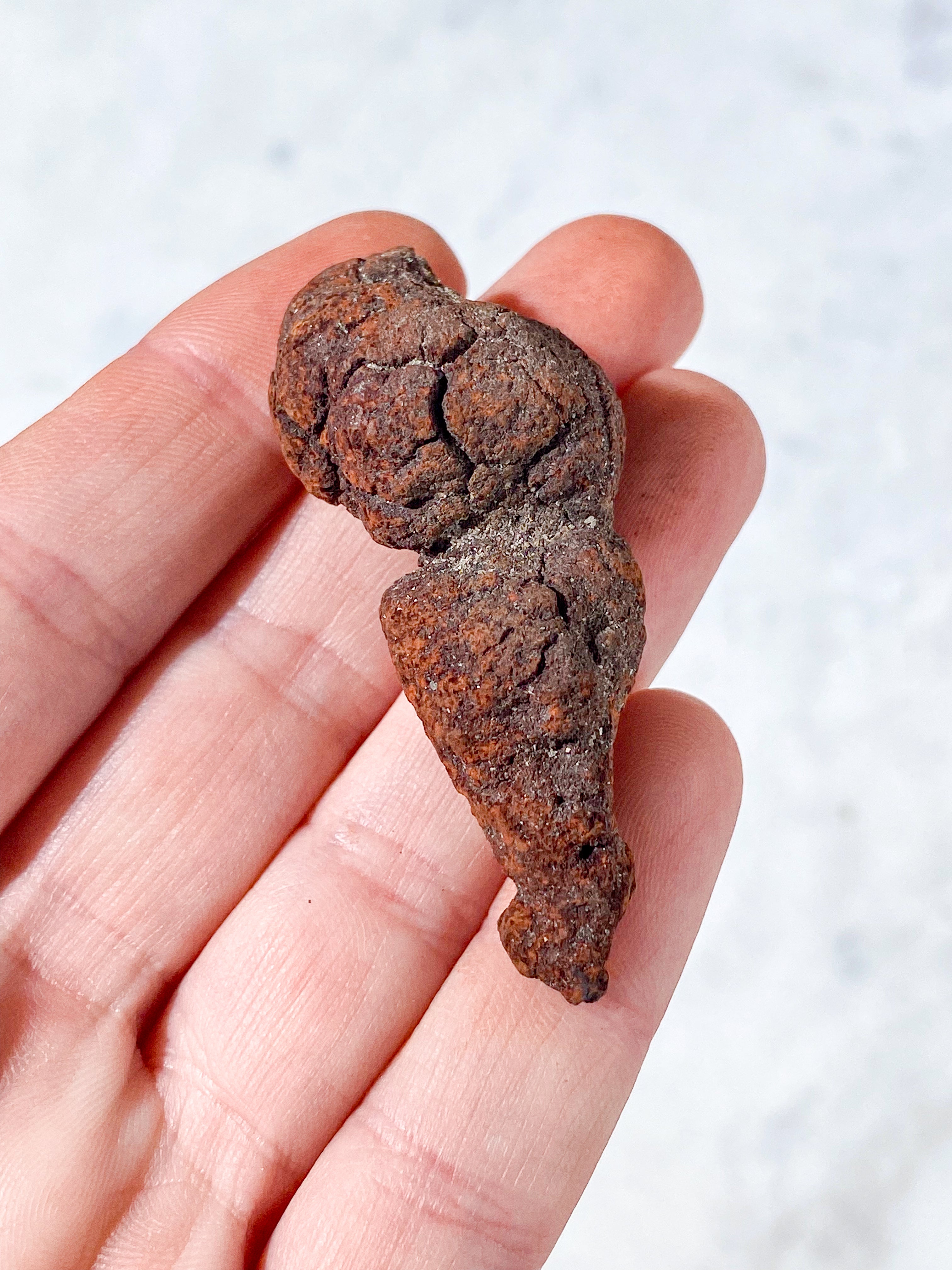 Koprolit Fossil (Nr. 7)