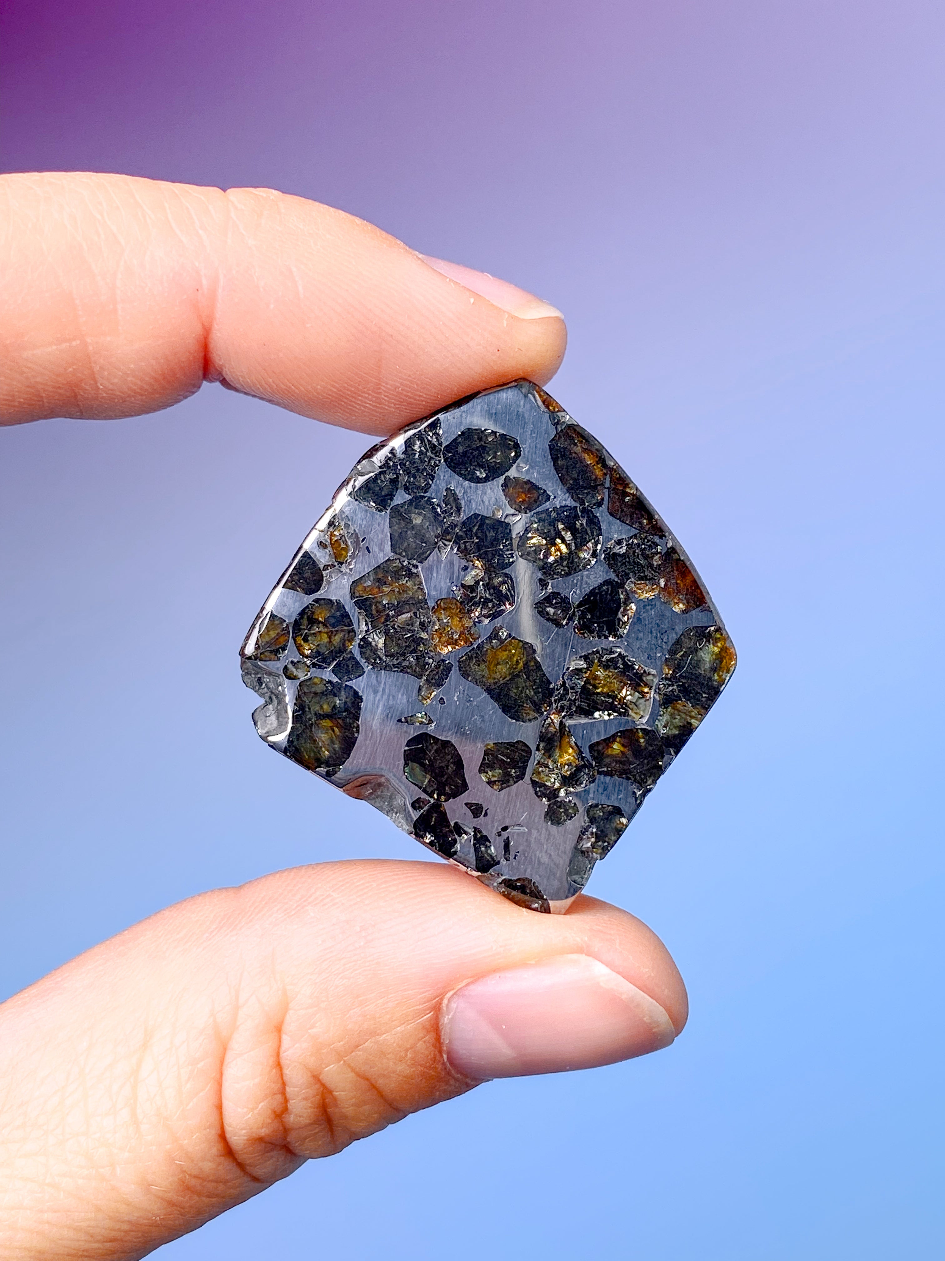 Seymchan Meteorit (Nr. 6)