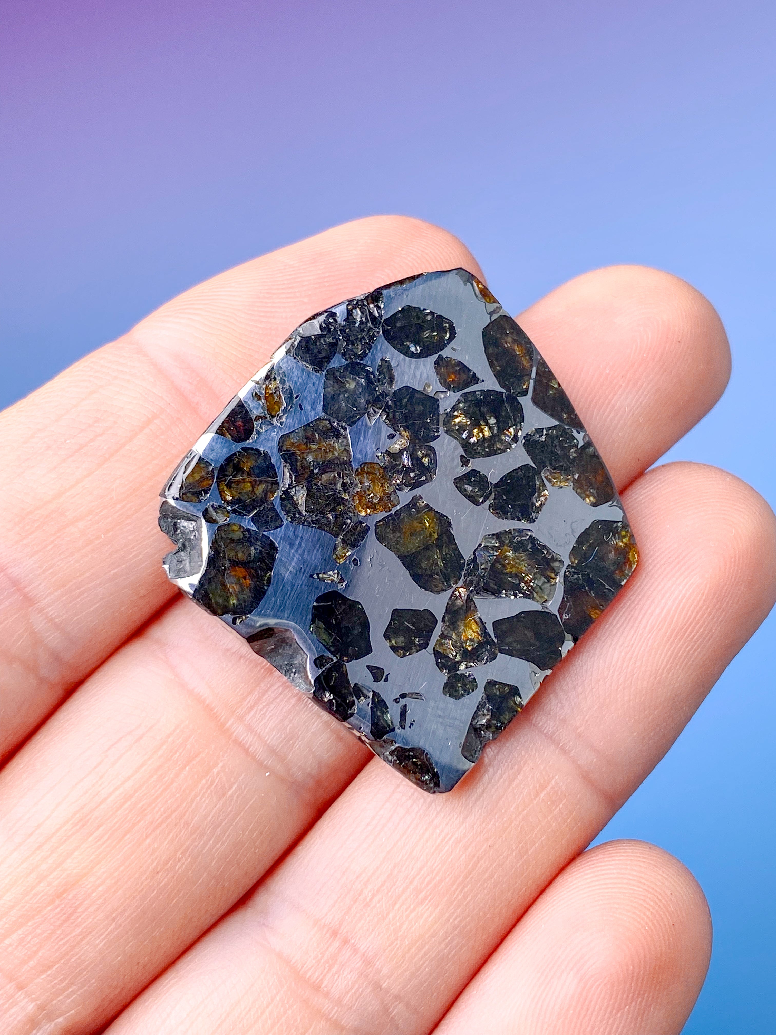 Seymchan Meteorit (Nr. 6)