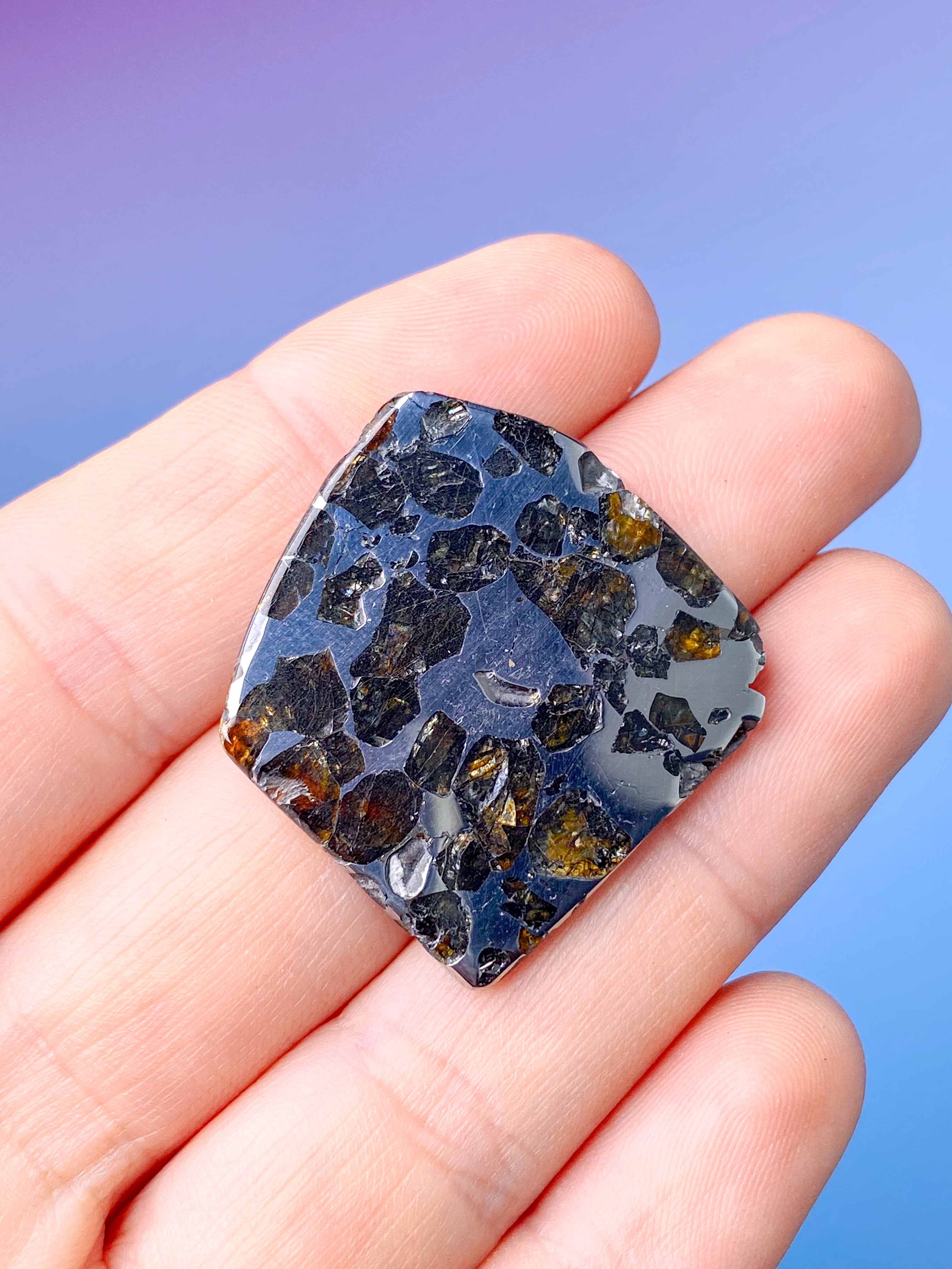 Seymchan Meteorit (Nr. 6)