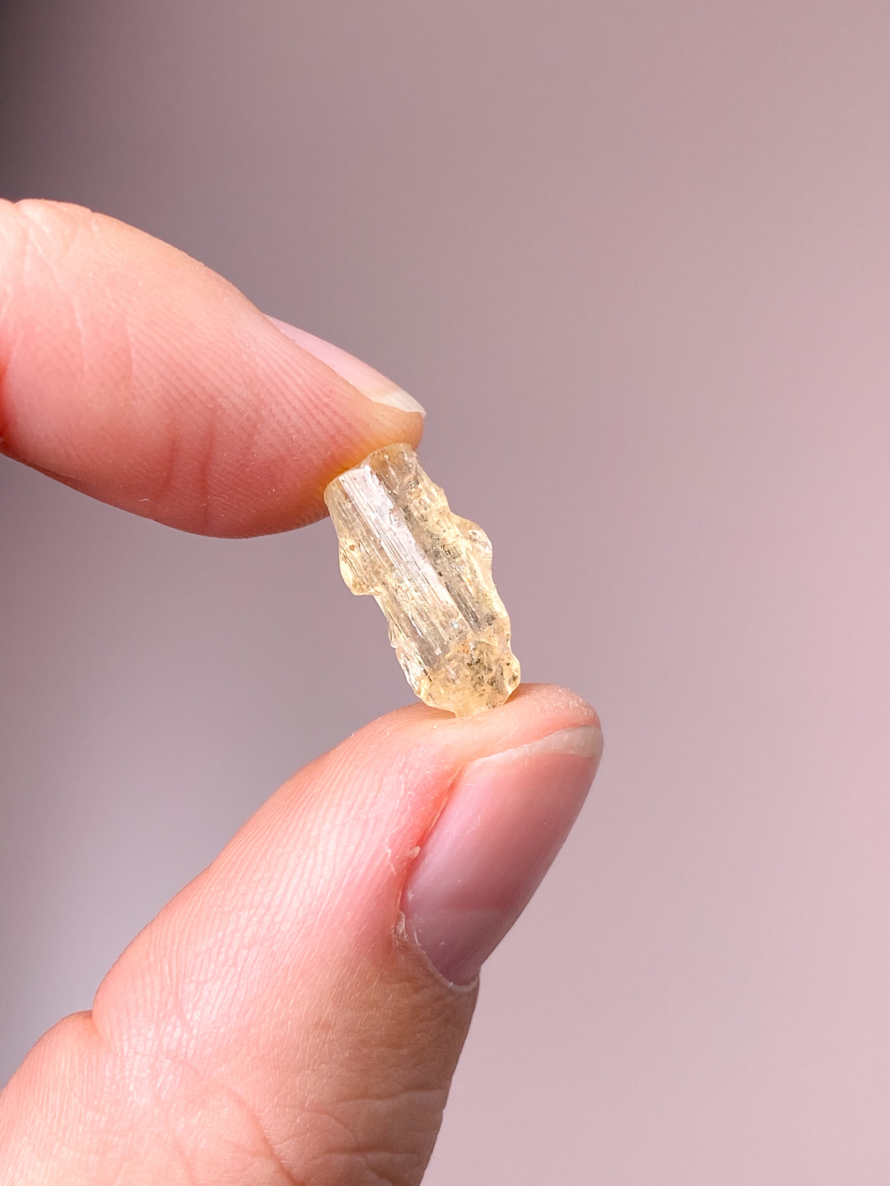 Akvamarin - Petite Heart - Guld
