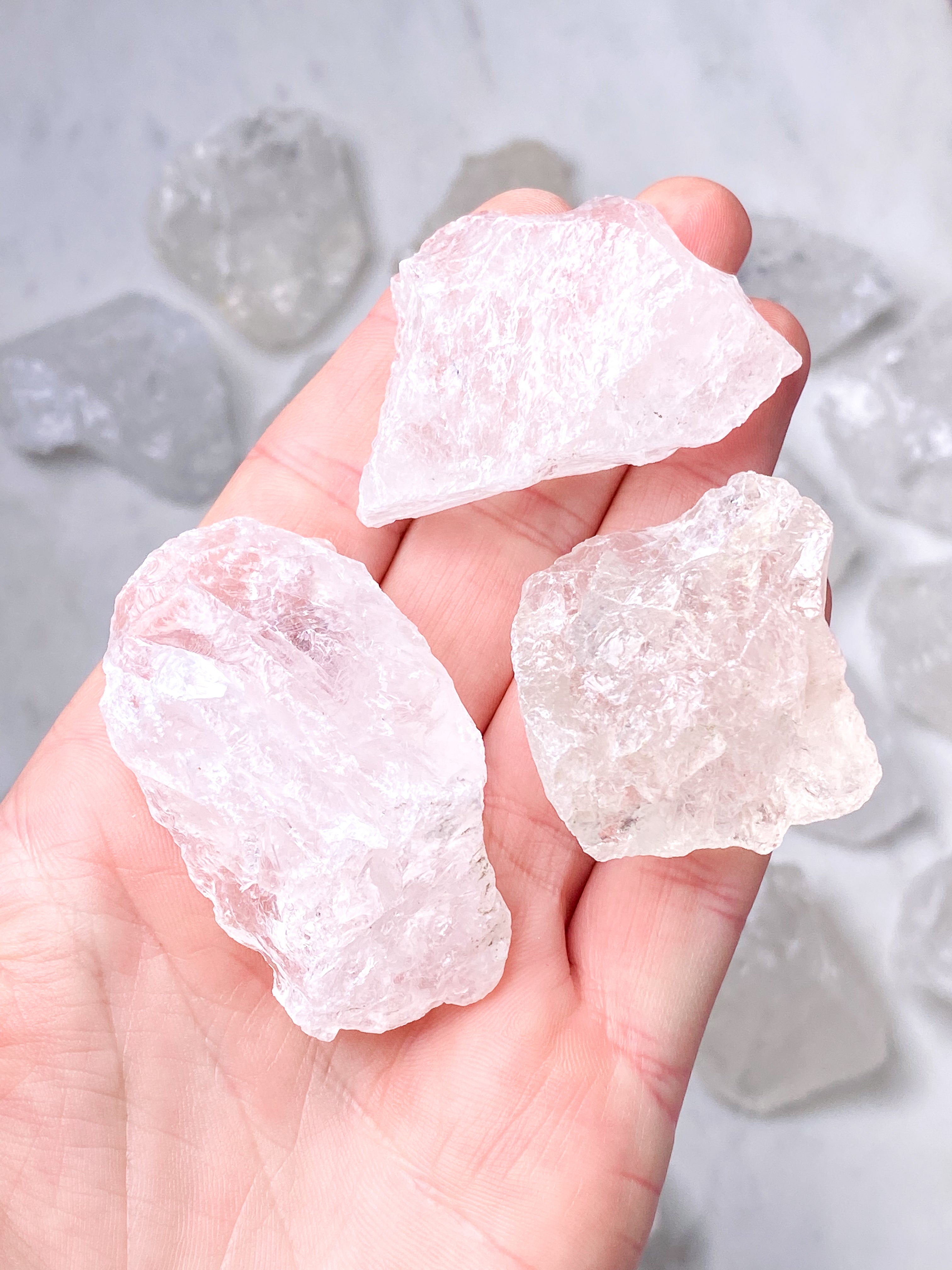 BLANK (Kopia) (Kopia)