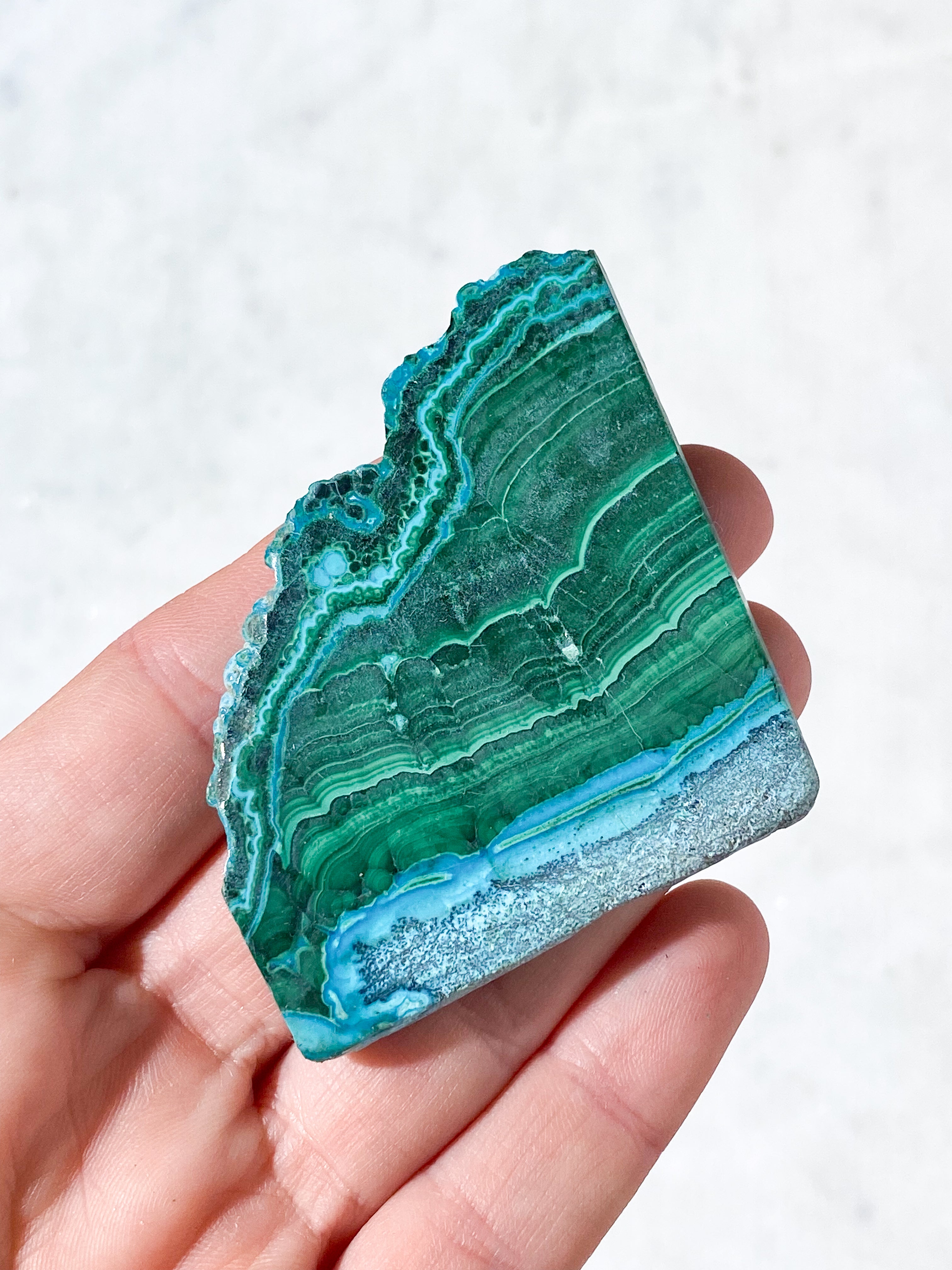 Malacolla Poleret Skive (Nr. 9)