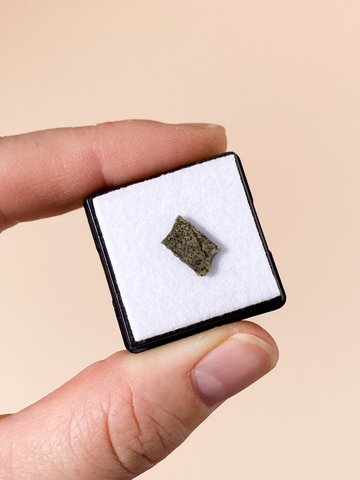Marsmeteorit – Fragment från Mars (Nr 7)
