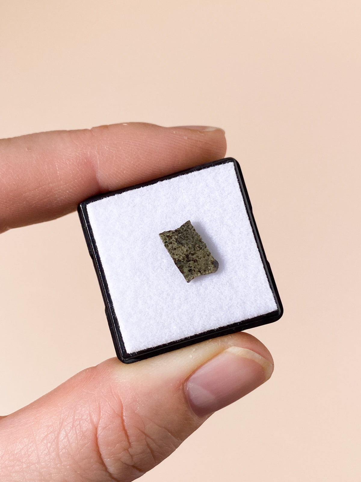 Marsmeteorit – Fragment från Mars (Nr 7)