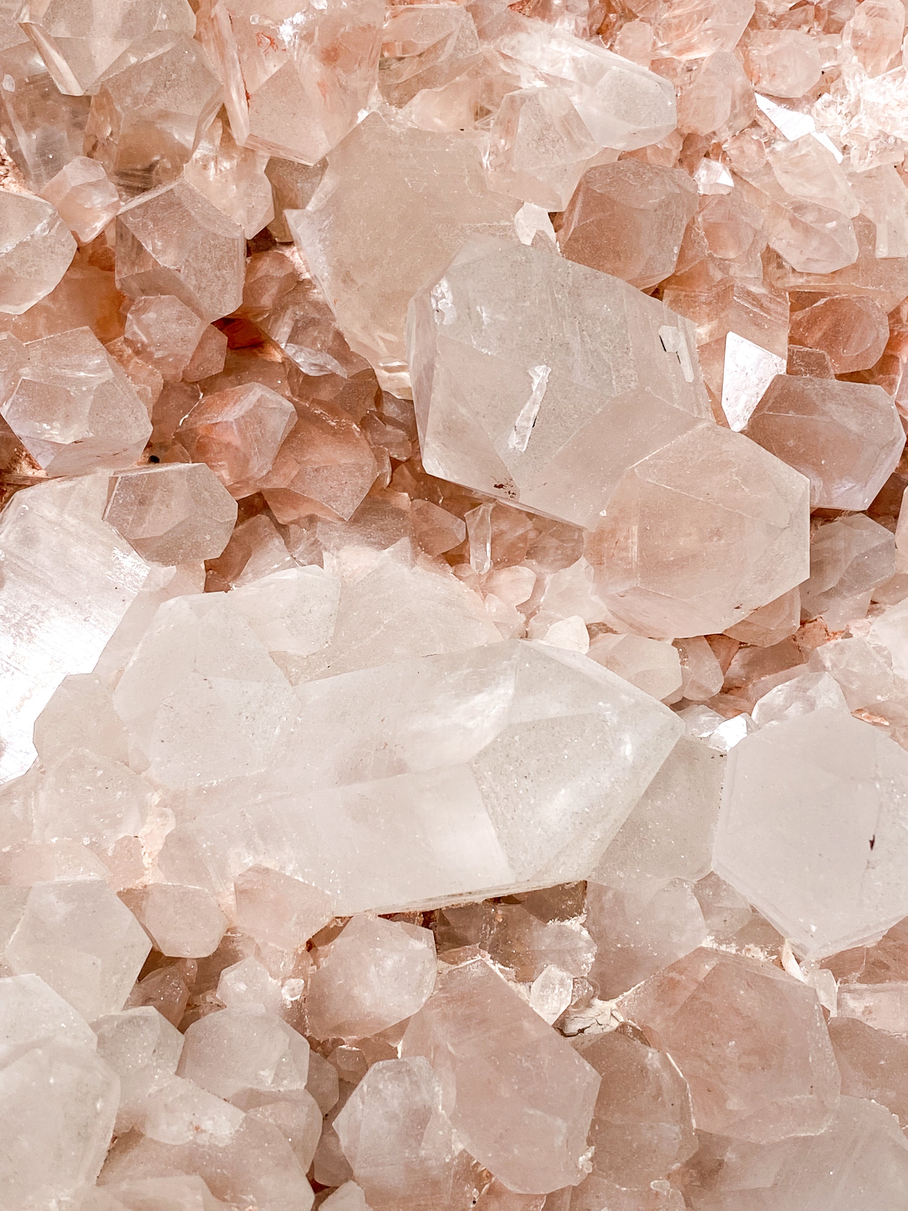 Kæmpe Pink Himalaya Klynge (59,4 kg.)
